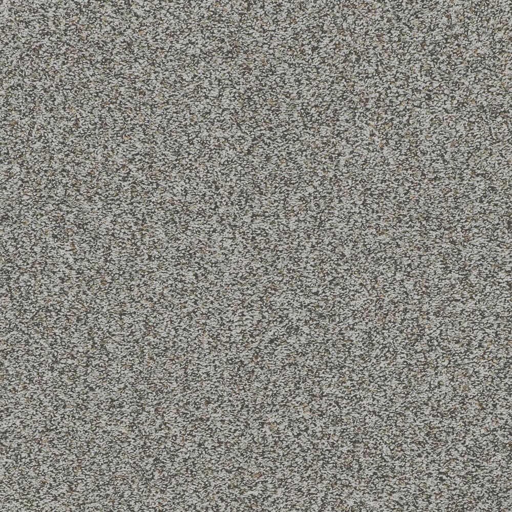STAINMASTER PetProtect STP46-12-L007 Pet Peeve Boardwalk Gray 60-oz sq yard Triexta Textured Indoor Carpet