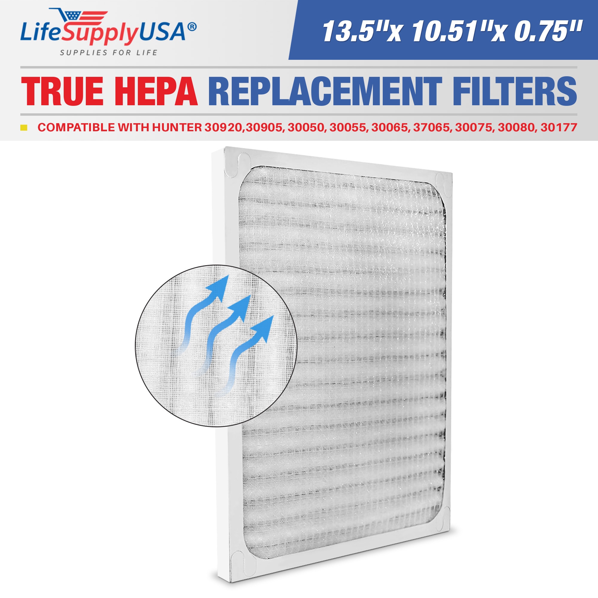 LifeSupplyUSA ER173-HD 10.51-Inches W x 0.75-Inches H x 13.5-Inches L Hunter 30920 30905 30050 30055 30065 37065 30075 30080 30177 True HEPA Air Purifier Filter