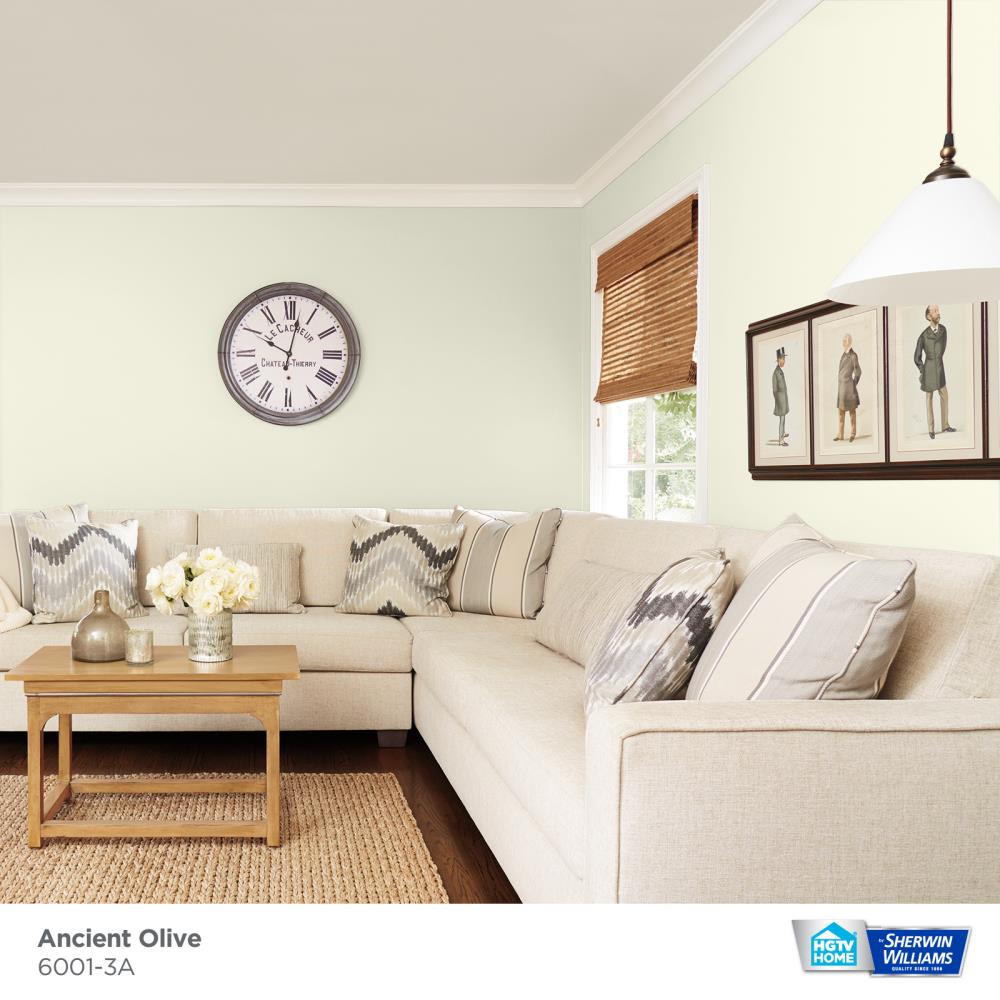 HGTV HOME by Sherwin-Williams 6001-3A-2557204 Int-Ext-Paint - View #3