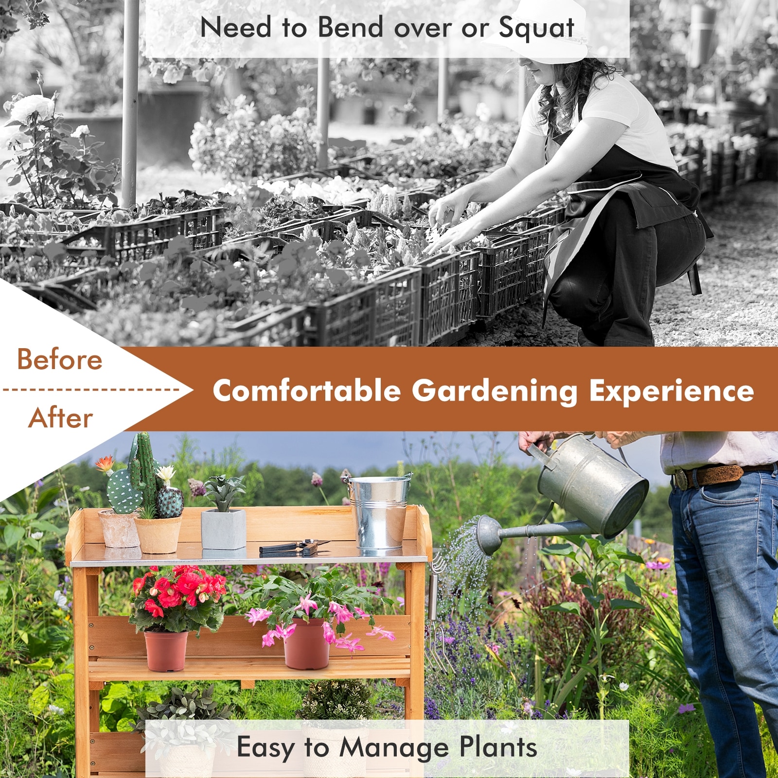 A033553 Potting-Benches - View #5