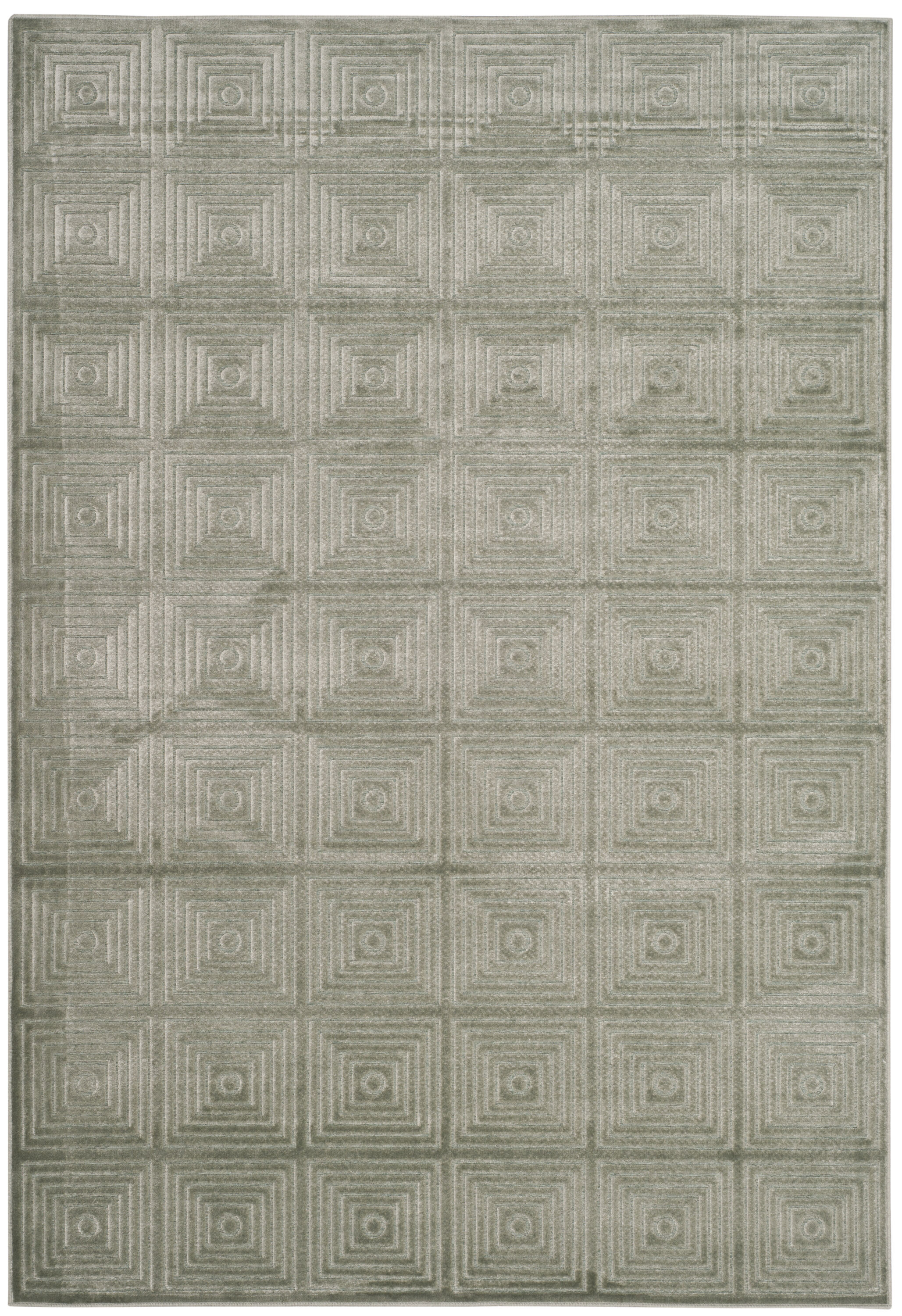 Safavieh PAR161-1110-5 rugs - View #2
