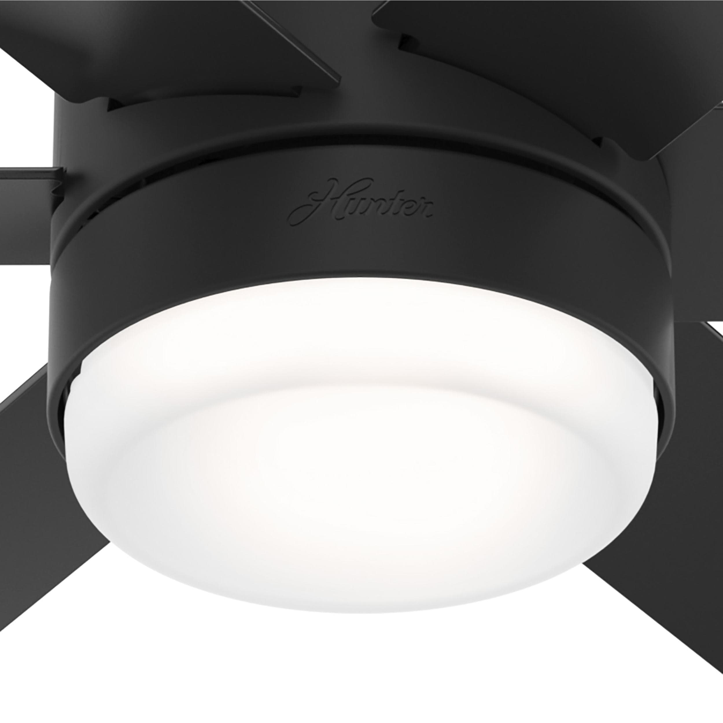 Hunter 51275 Ceiling-Fans - View #14