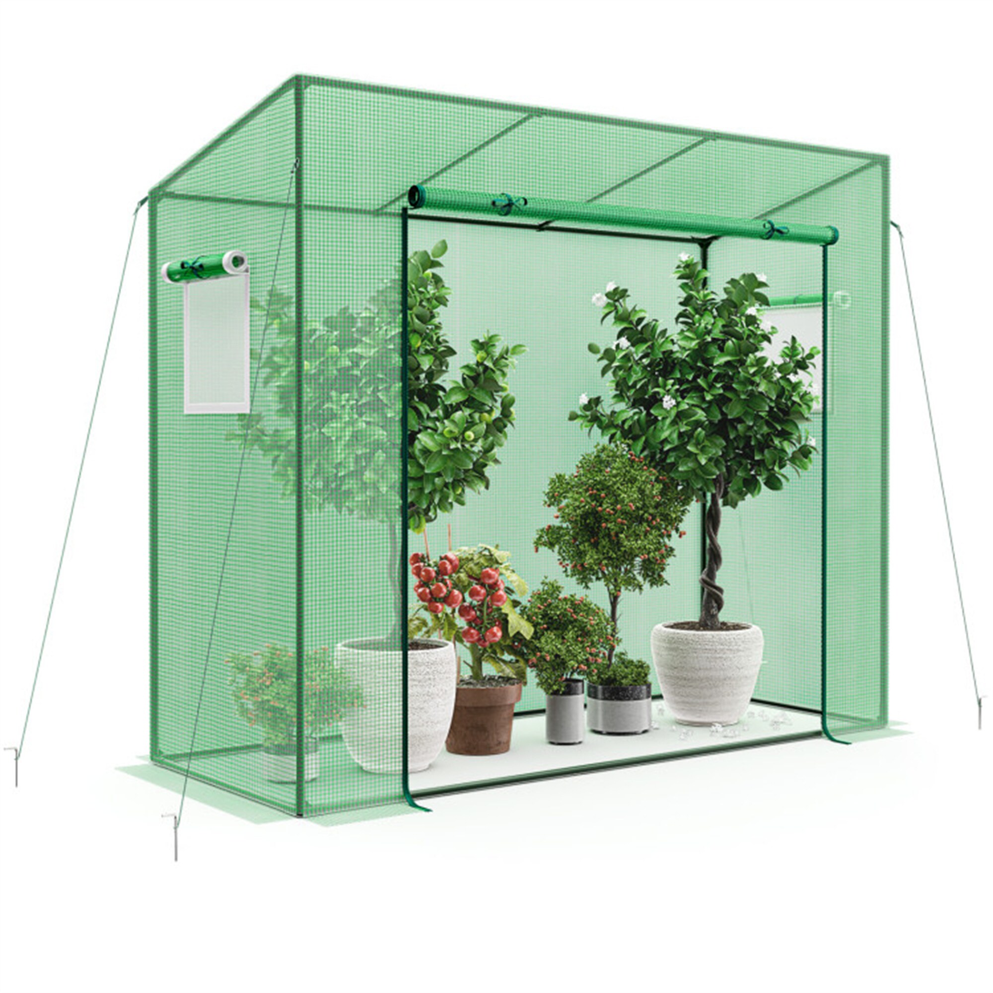 BABOOM BOM-GT4217-CO greenhouses - View #2