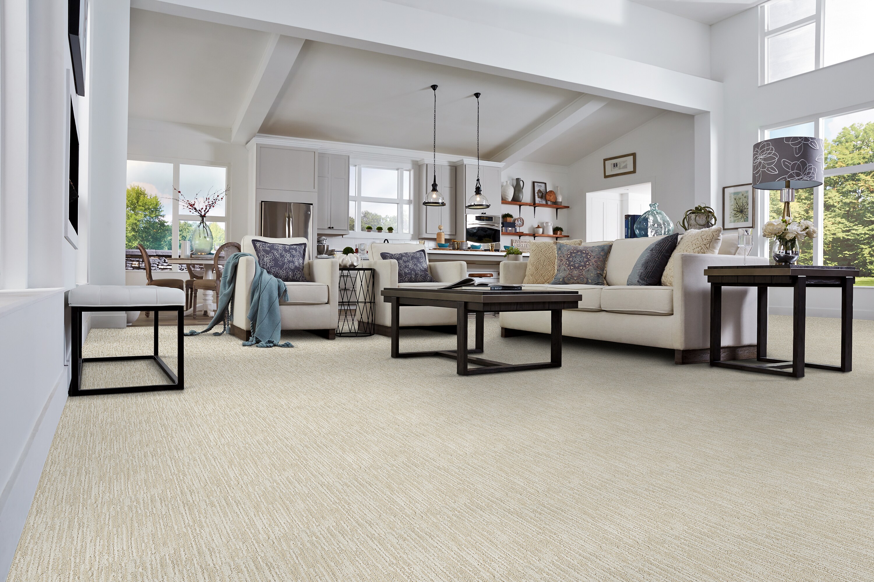 STAINMASTER 8814-204S Carpet-Samples - View #2