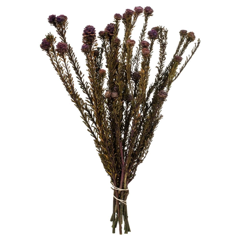 Vickerman H1TOF575 12-in Violet Indoor Tortum Artificial Plant