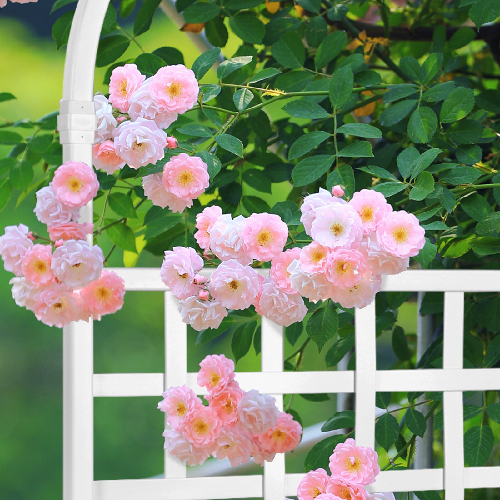 Winado LO1G54000078 Arbor-Trellis-Accessories - View #3