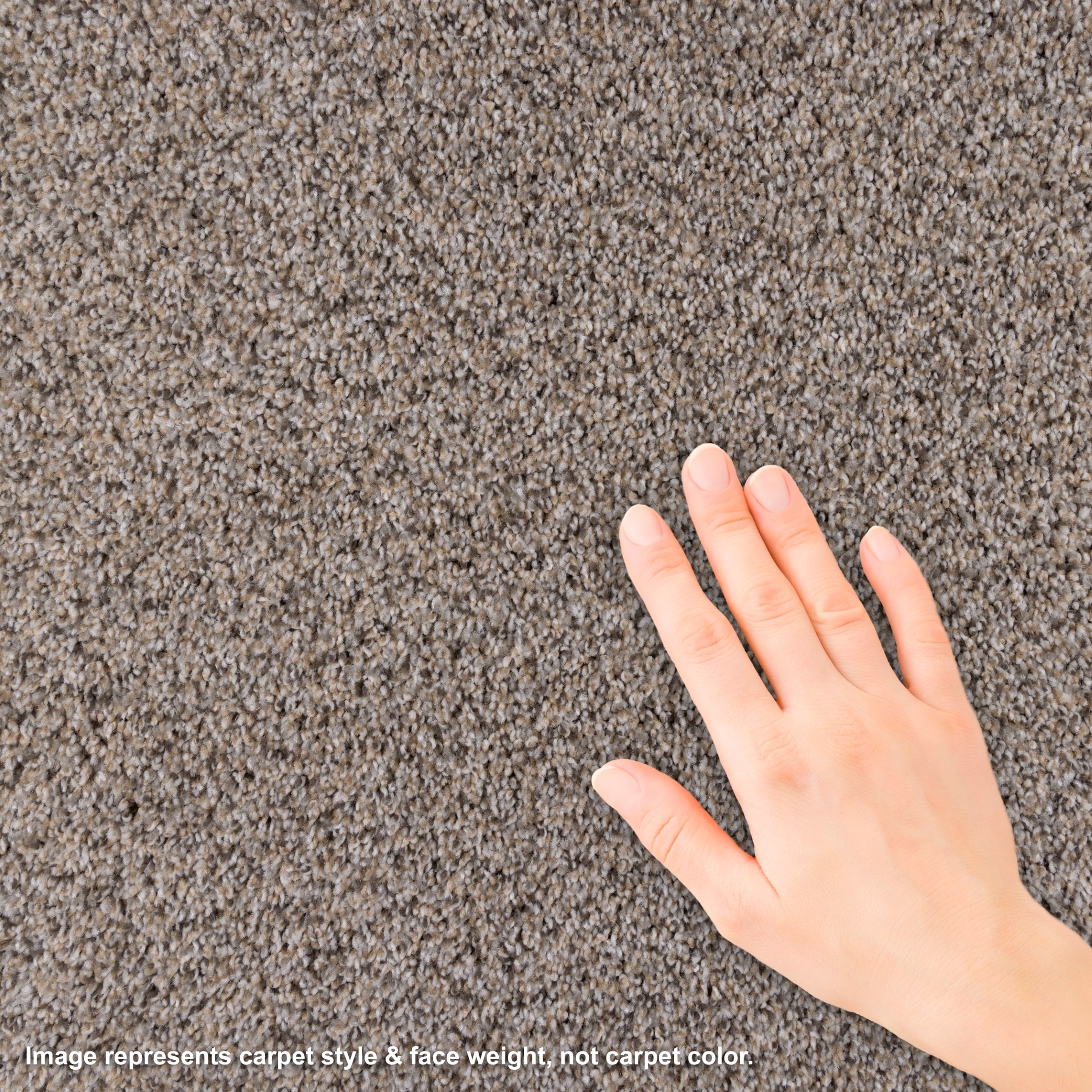 Style Selections L1002-470-0808 Carpet-Samples - View #3