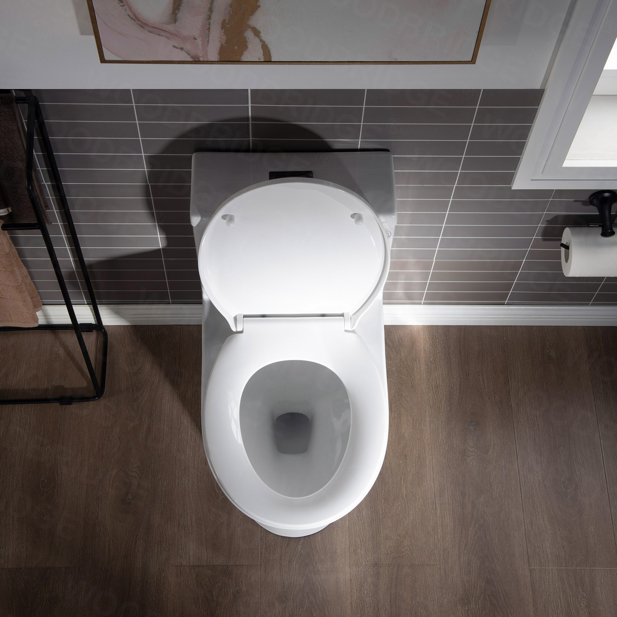 Woodbridge LT536 toilets - View #7