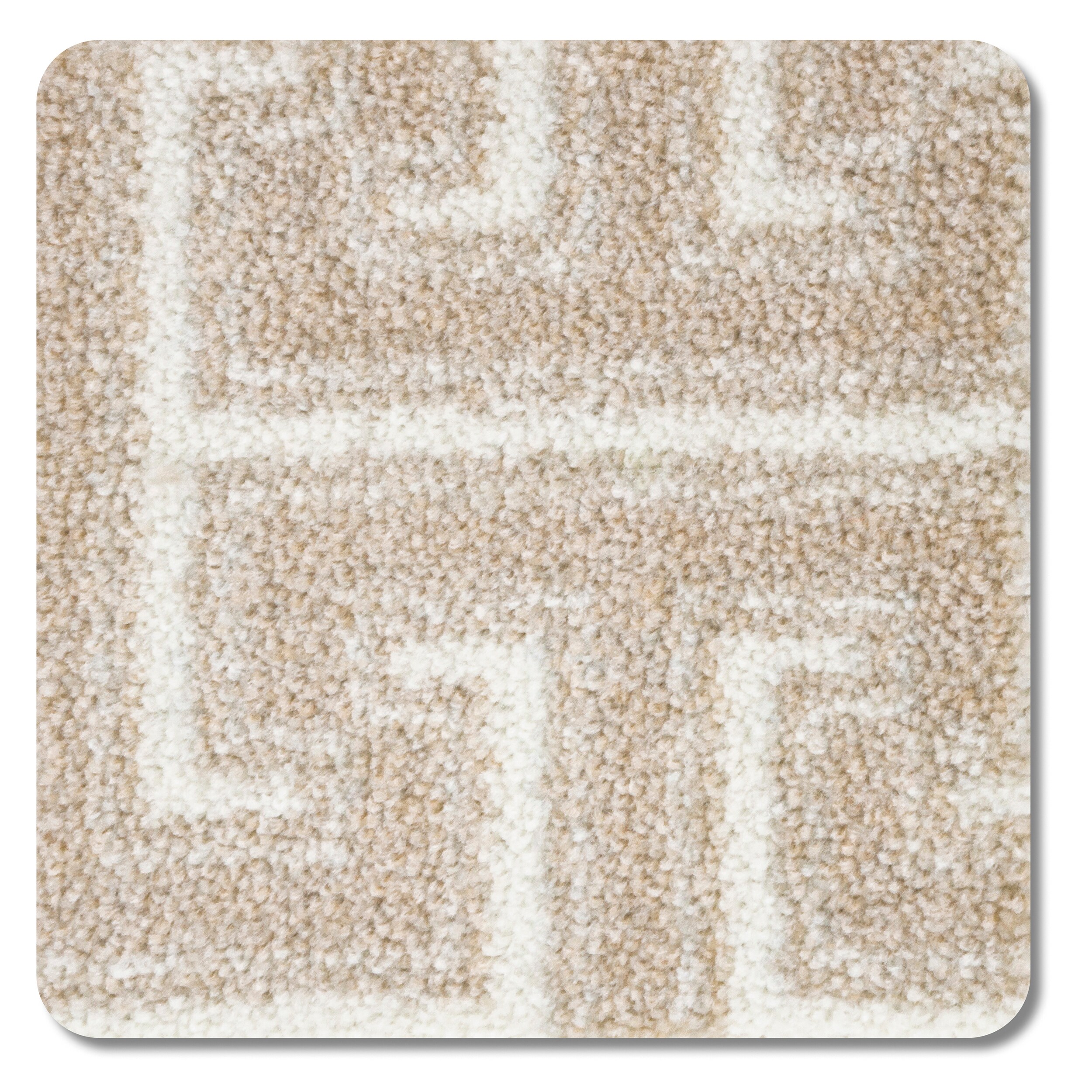  2031W-03 Carpet-Panel - View #4