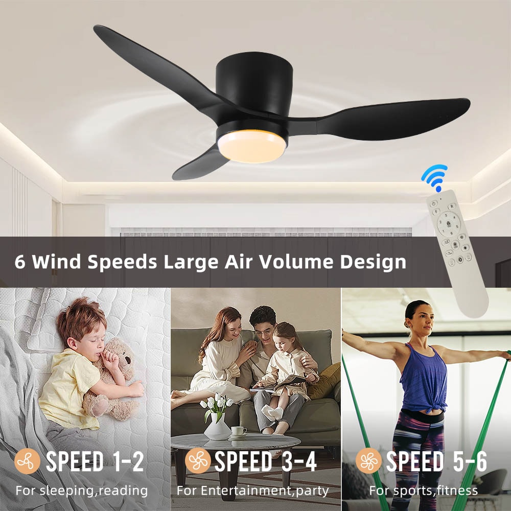 Duclsaty ZYS055 Ceiling-Fans - View #5