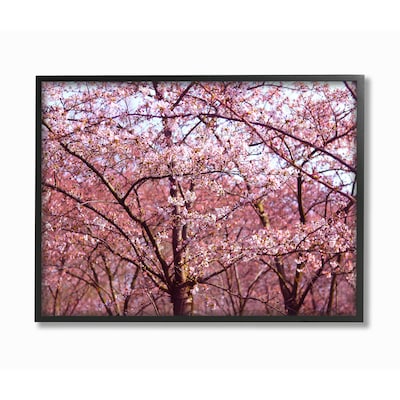 Portrait Scenic Photo Canvas Picture Print Wall Art Cherry Blossom Trees Pink