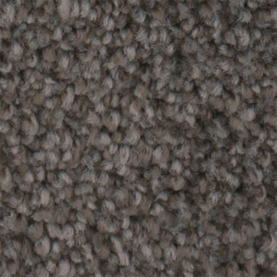 STAINMASTER S796054SEDIMENT-2479 (Sample) Active Family Wade Pool II Sediment Plush Carpet