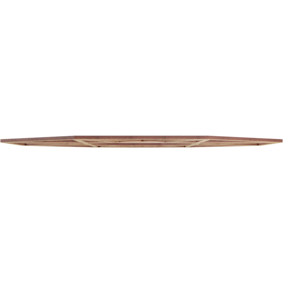 Ekena Millwork CMWP22X22X0250GDHI Ceiling-Medallions - View #3