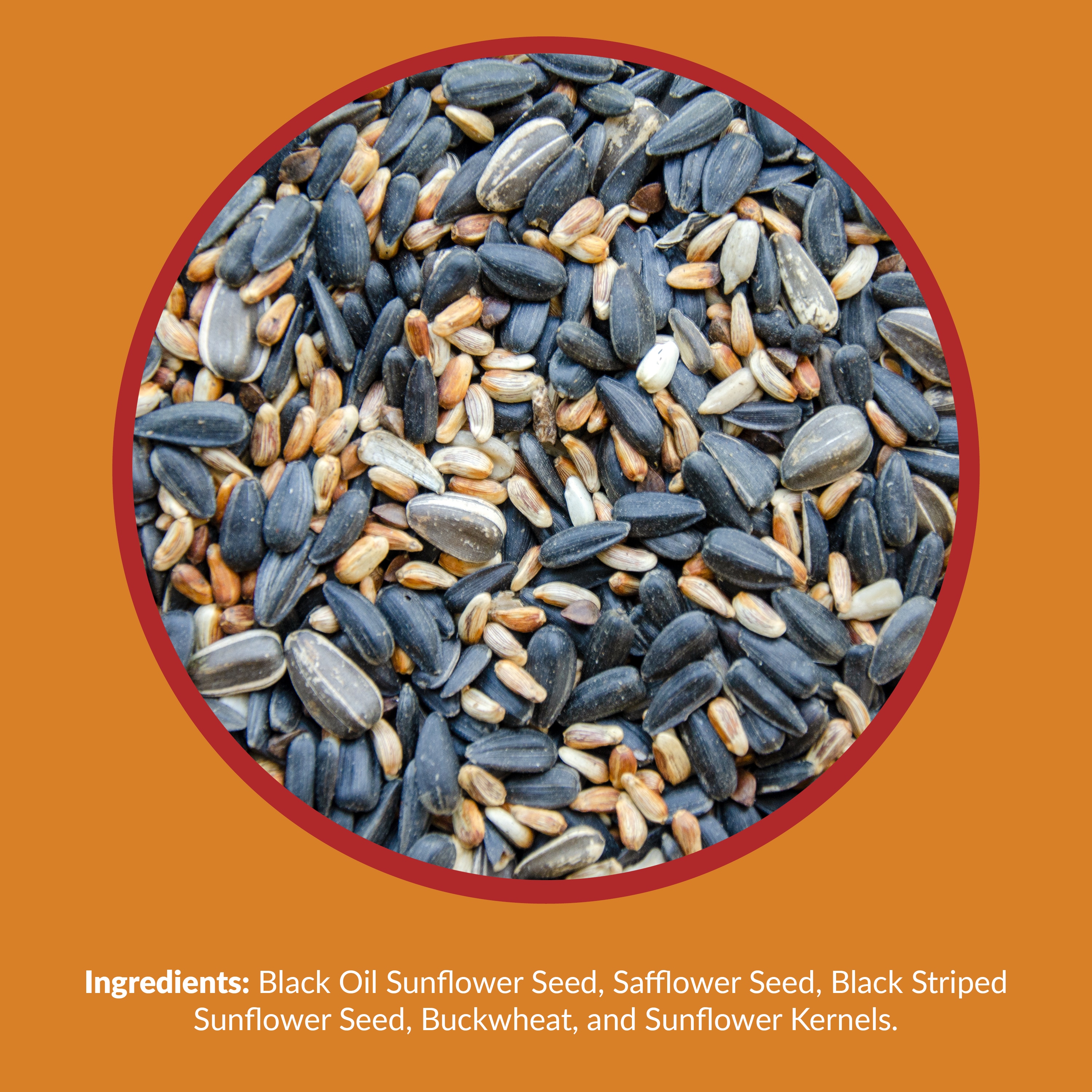 lowes safflower bird seed