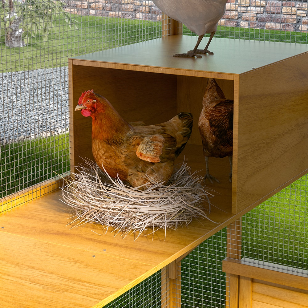 Homsee C-KF150158-09-AB Chicken-Coops-Rabbit-Hutches - View #15