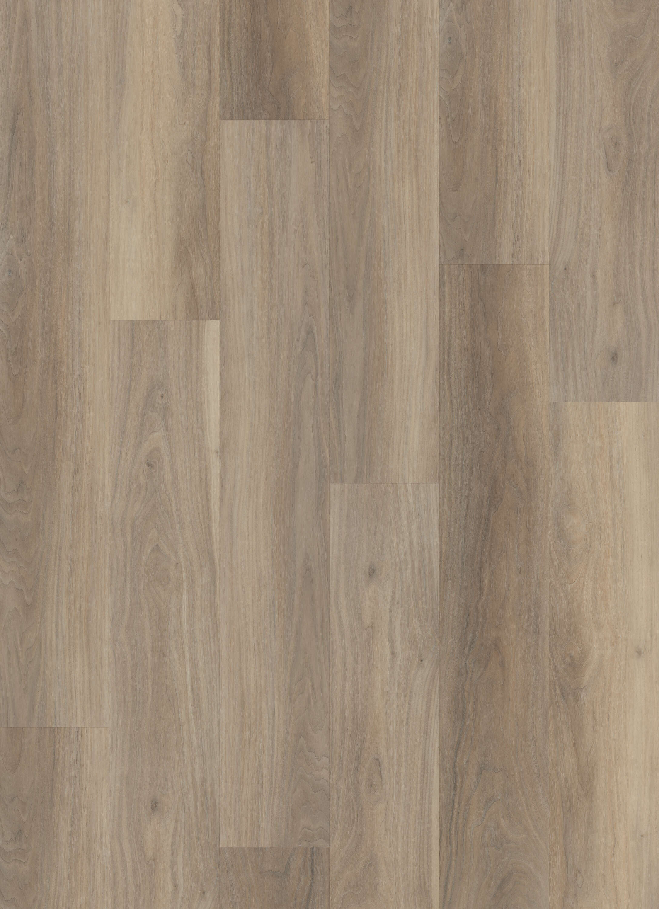 5 Best LVP Floors & Why They're Better than Hardwood - Color Concierge