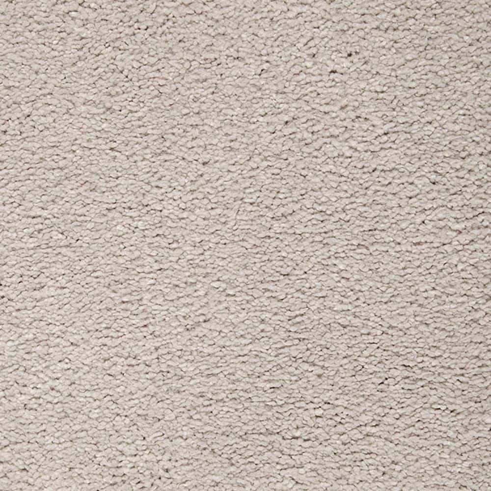 STAINMASTER PetProtect STP54-L003-0808 (Sample) Beau Dacious Wisp Brown 48-oz sq yard Triexta Textured Indoor Carpet