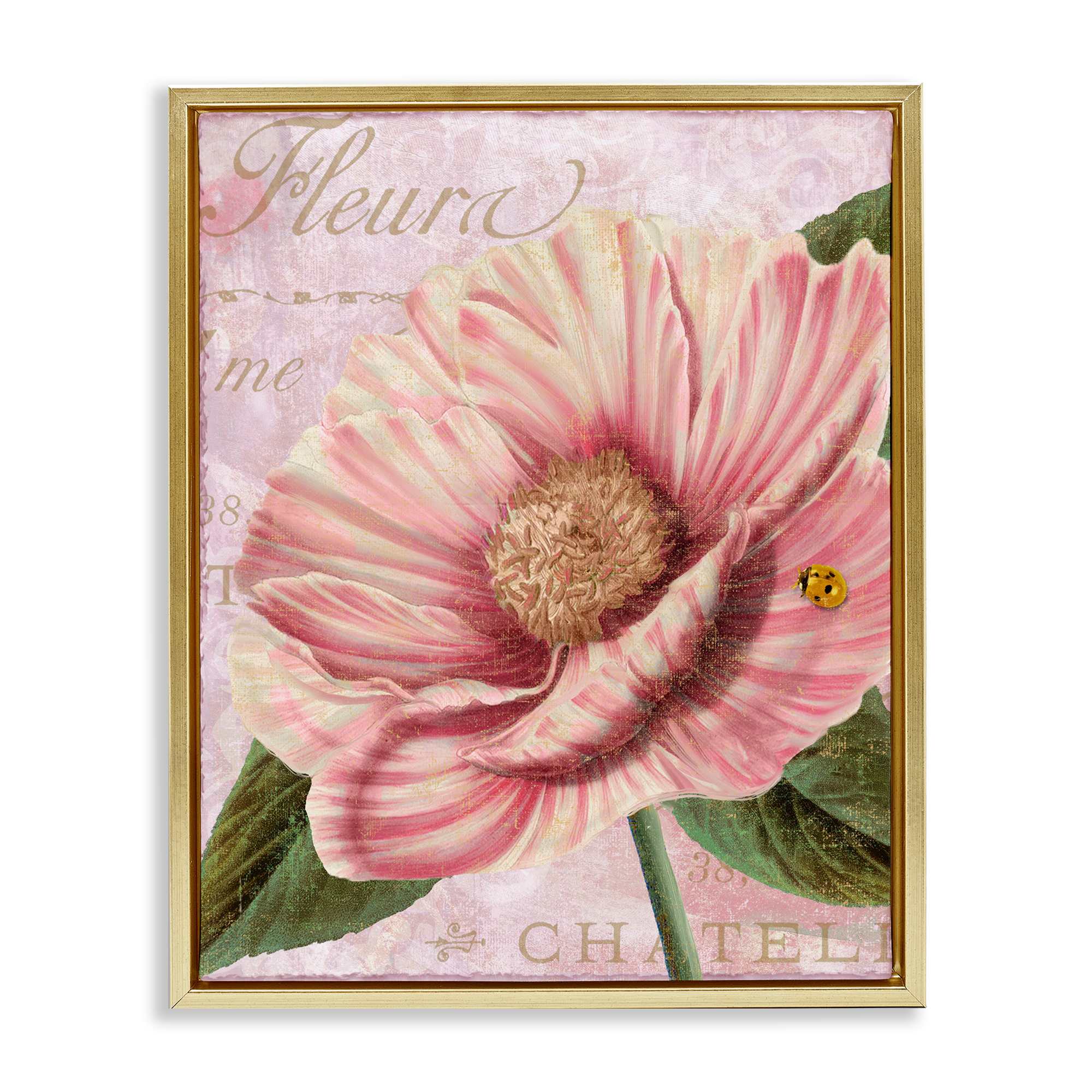 Stupell Industries BT-004-FFG-24X30 French Flower and Ladybug Floating Frame design by Sasha