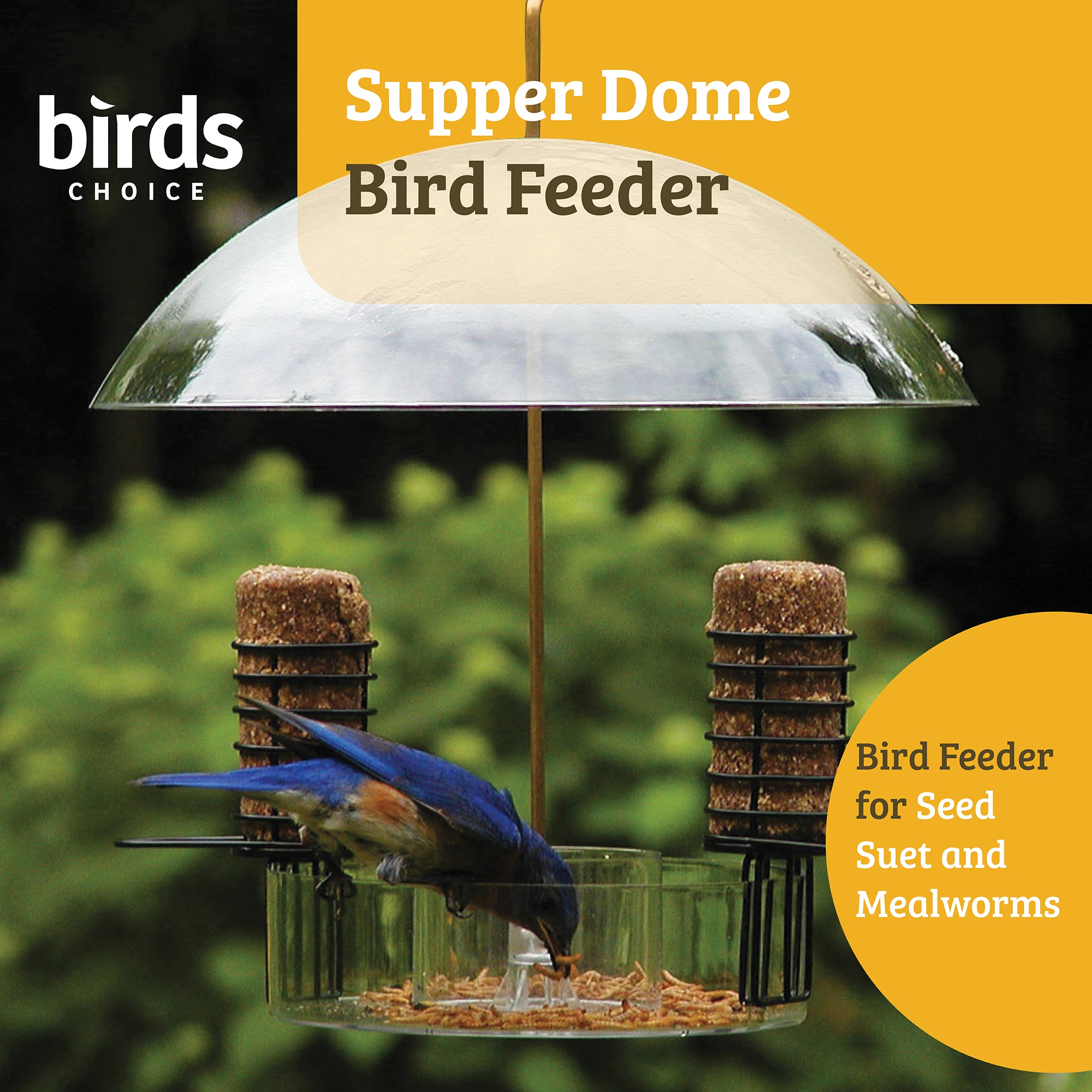 BIRDS CHOICE NP3005 Bird-Feeder-Accessories - View #3