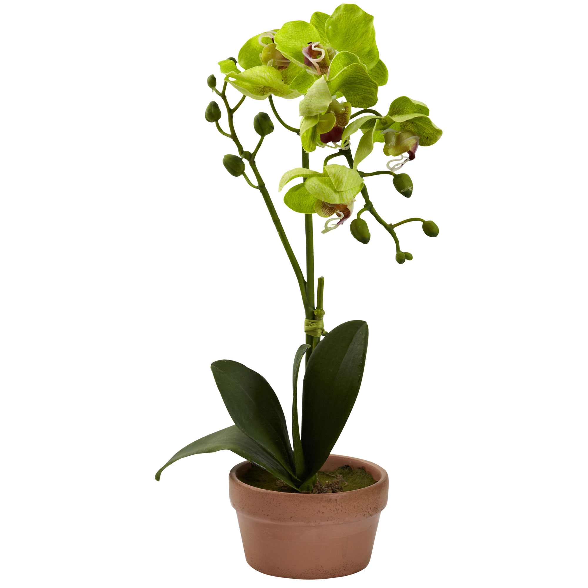 Nearly Natural 4991-S4 Artificial-Plants-Trees - View #3