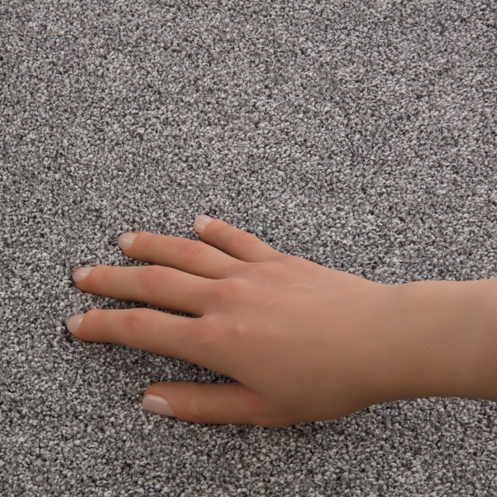 STAINMASTER PetProtect 7L967-535-SAMP Carpet-Samples - View #4