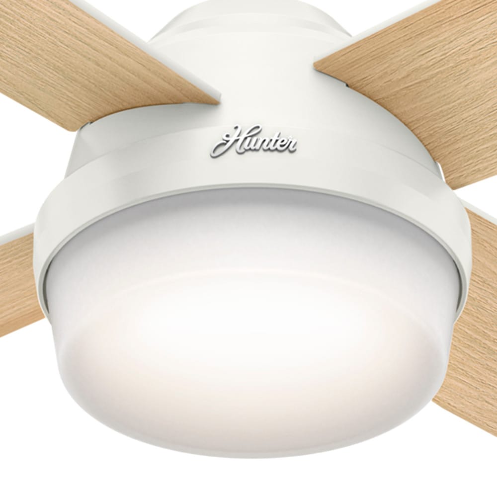 Hunter 59217 Ceiling-Fans - View #14