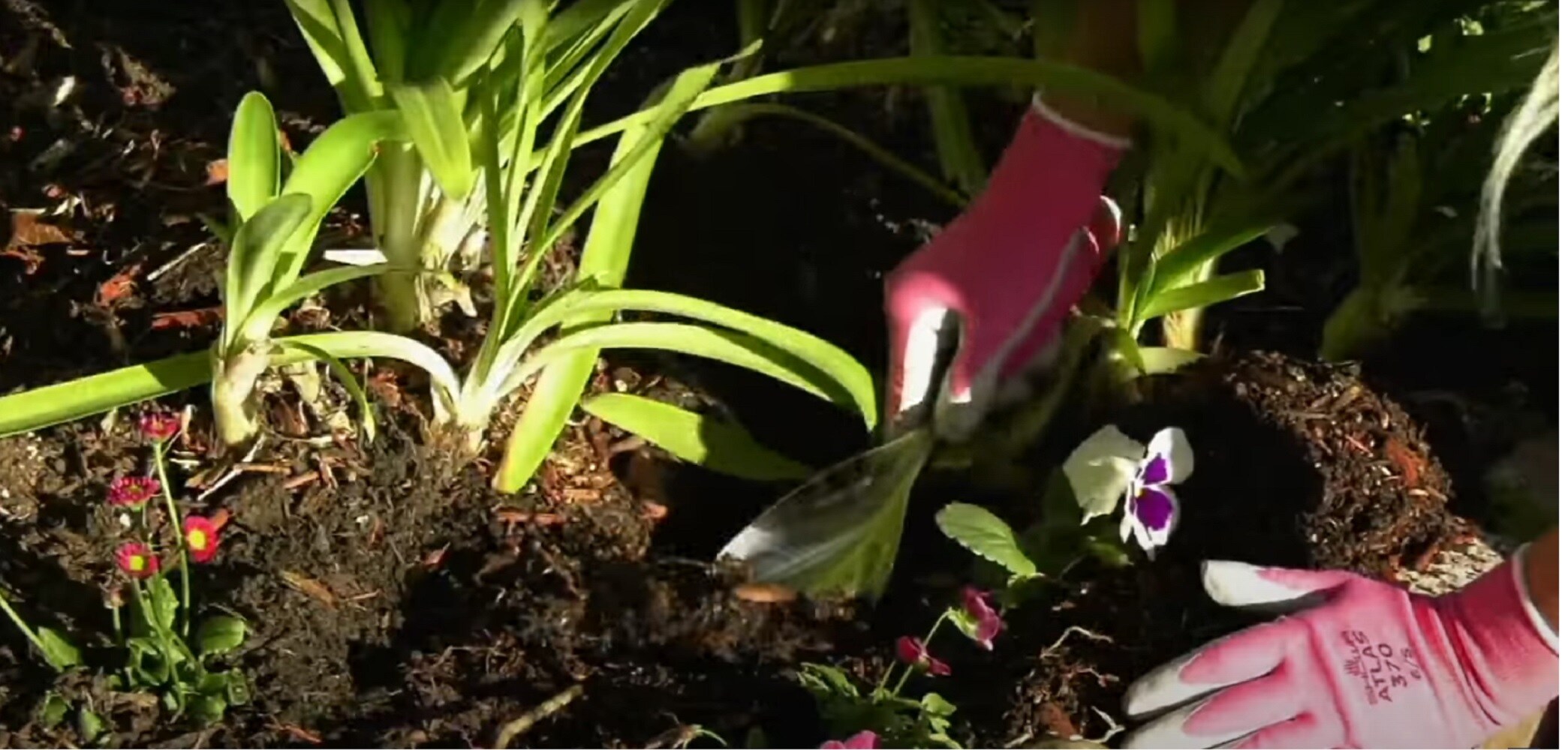 Ultimate Innovations HISCBD-ORANGE Speciality-Garden-Hand-Tools - View #8