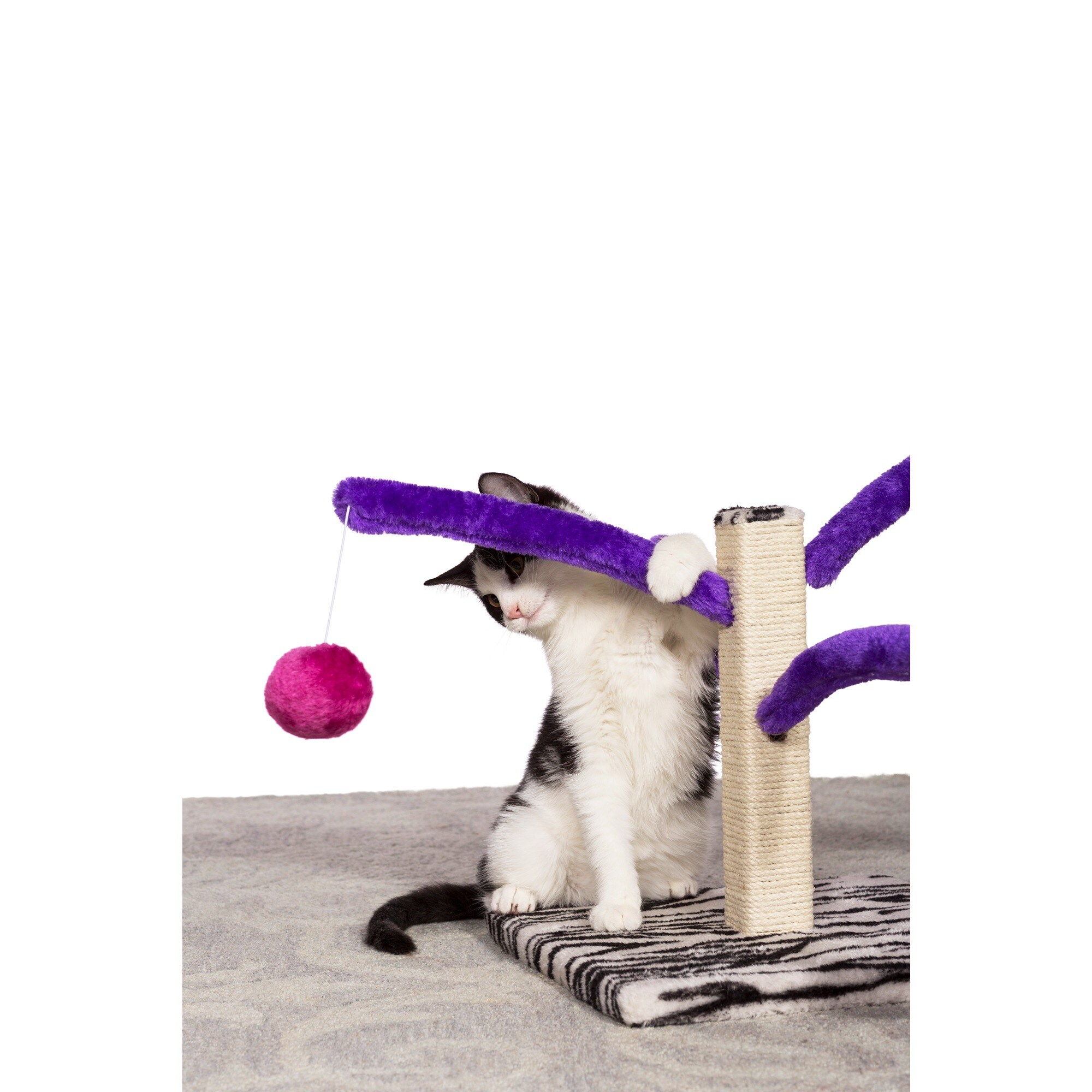Prevue 708 Cat-Trees - View #9