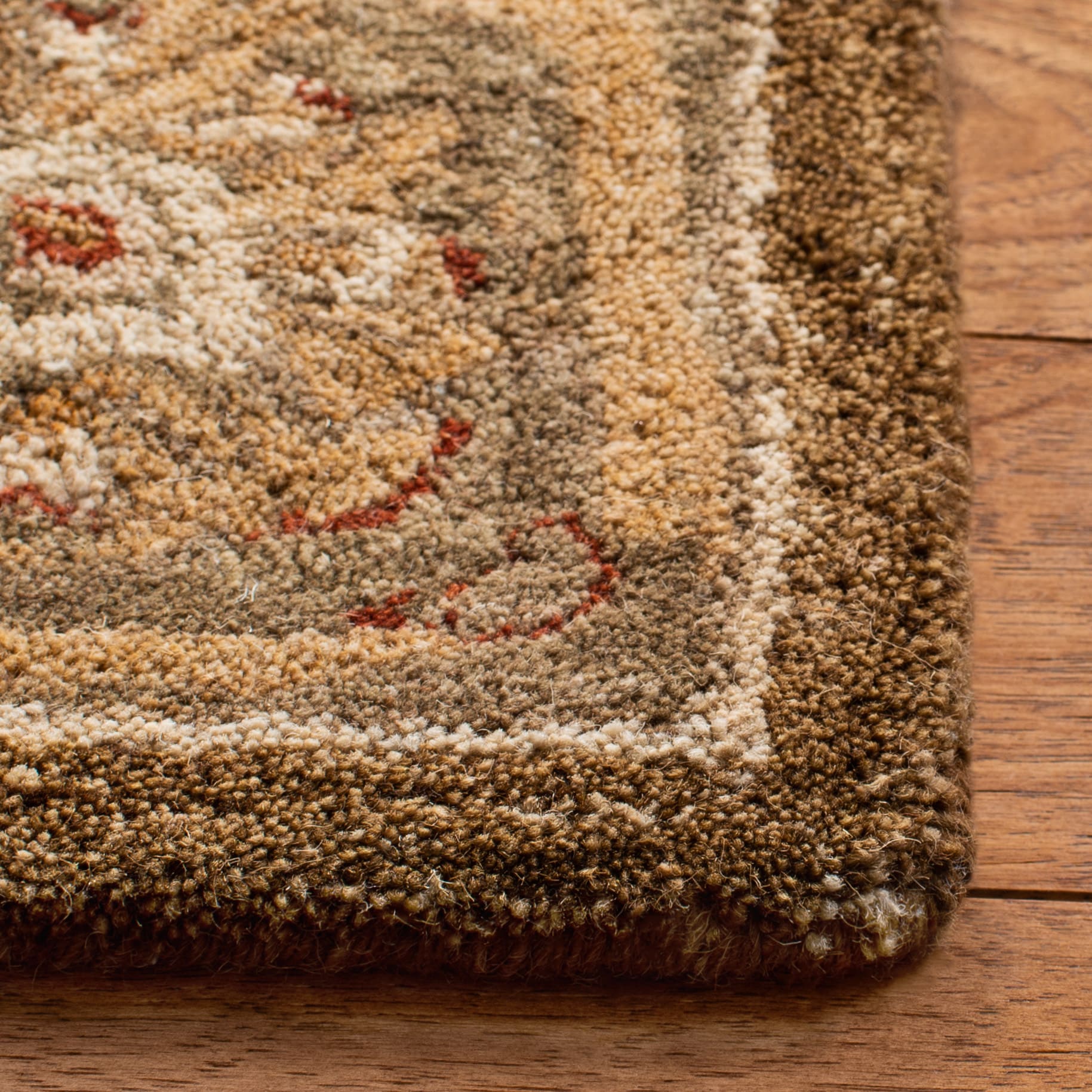 Safavieh AN512F-5 rugs - View #3