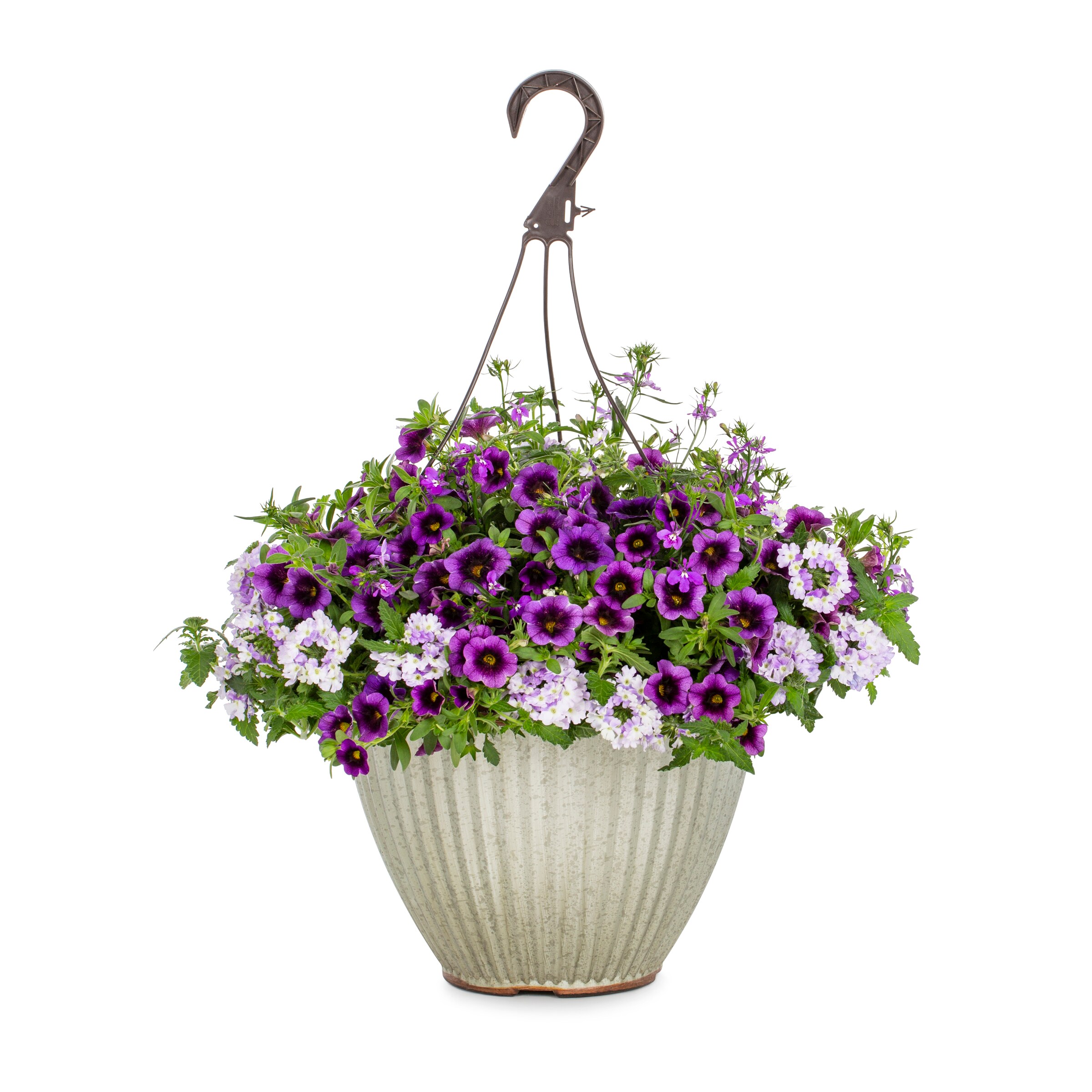 Proven Winners Multicolor Spark Glow in 2.5-Gallon Hanging Basket in ...