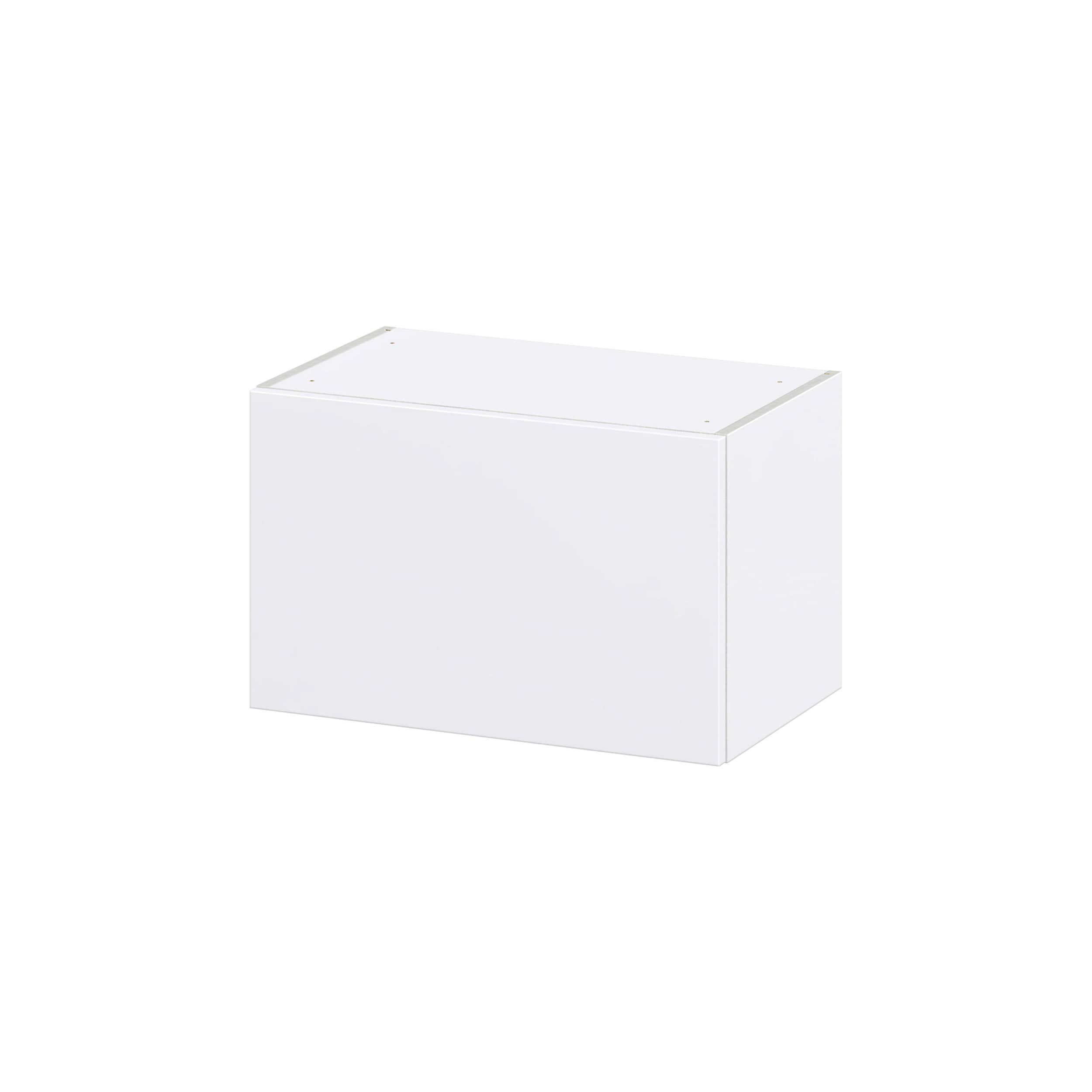 Hugo&Borg DSWLU2415-LA Lasalle 24-in W x 15-in H x 14-in D Bright White Slab Wall Fully assembled Cabinet (Flat Panel Slab)