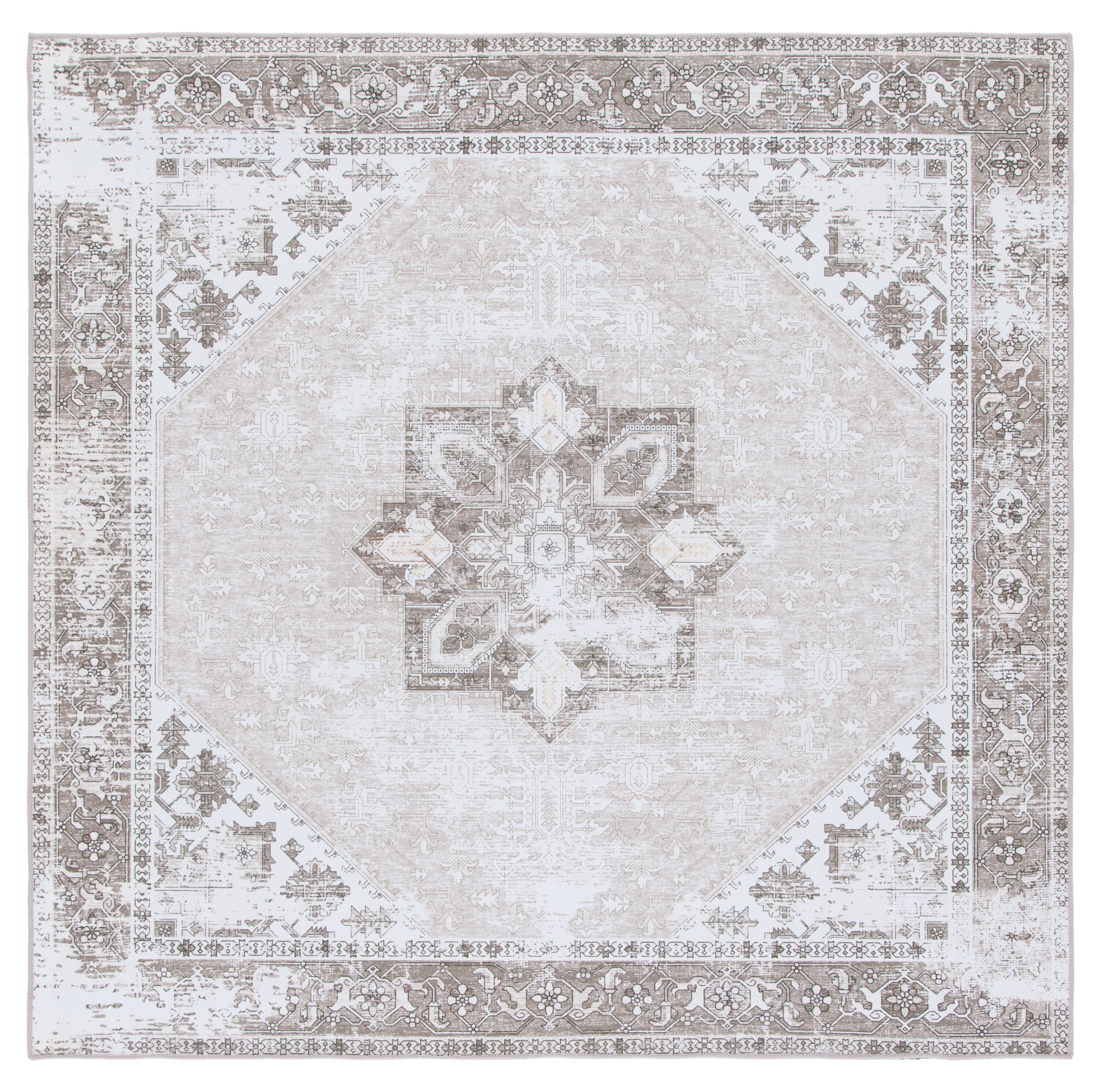 Safavieh TSN102W-5SQ rugs - View #2