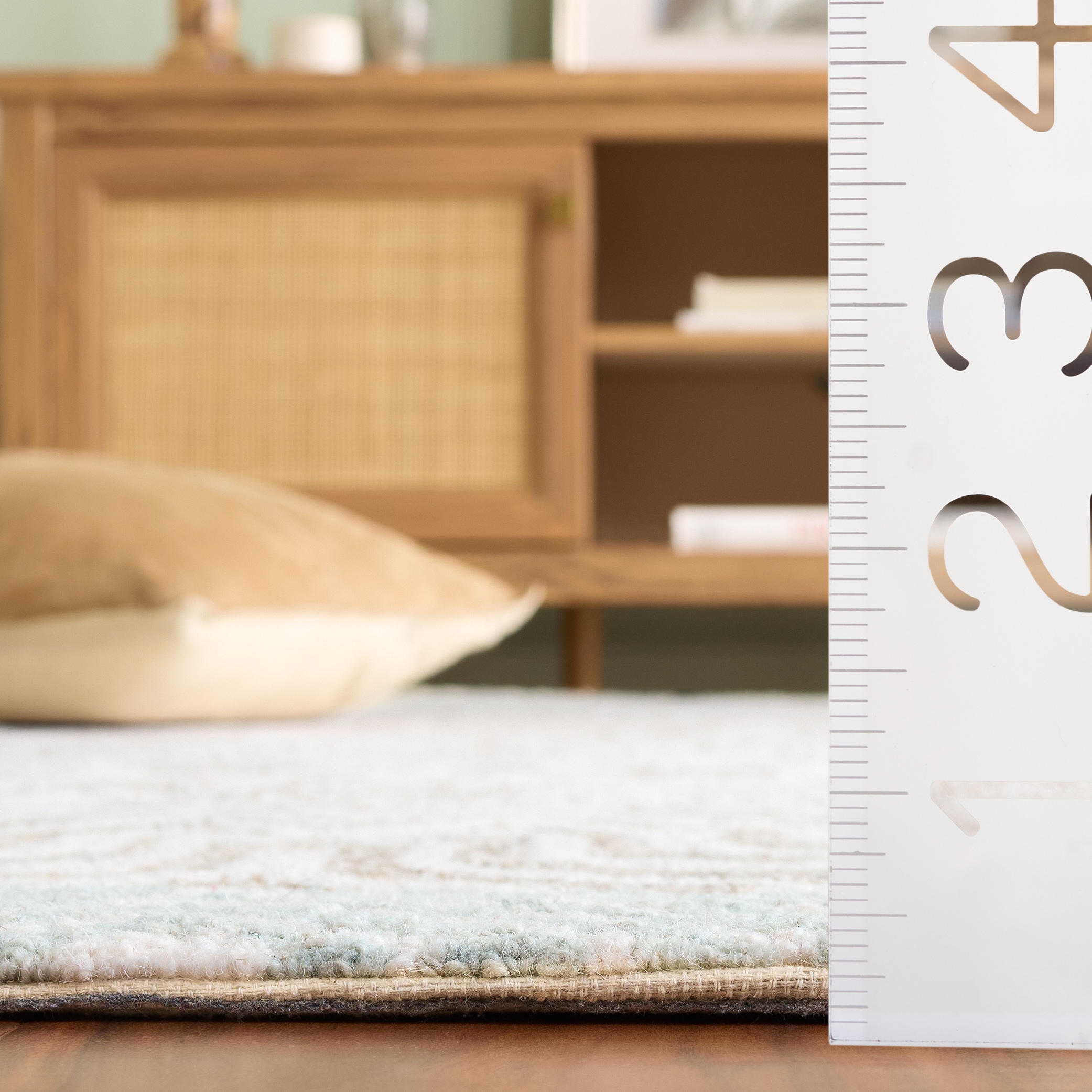 Safavieh PNE807T-4 rugs - View #5