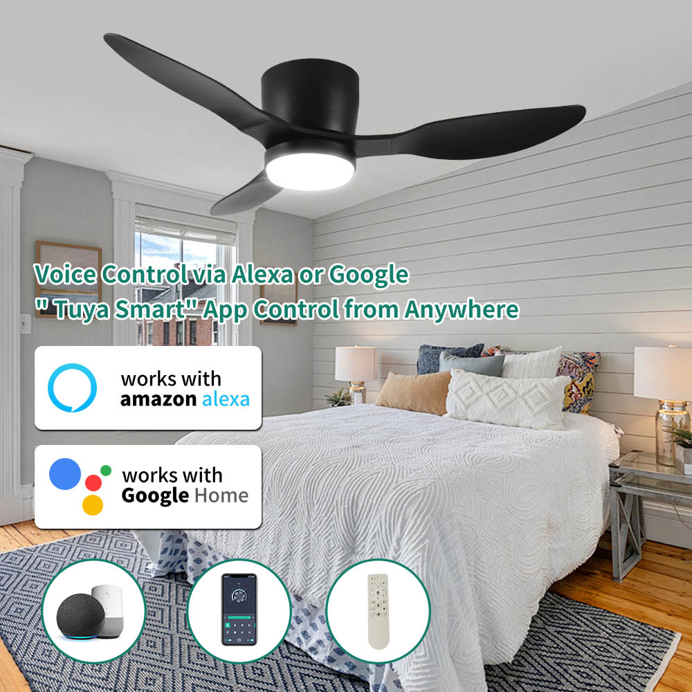 Duclsaty ZYS055 Ceiling-Fans - View #4
