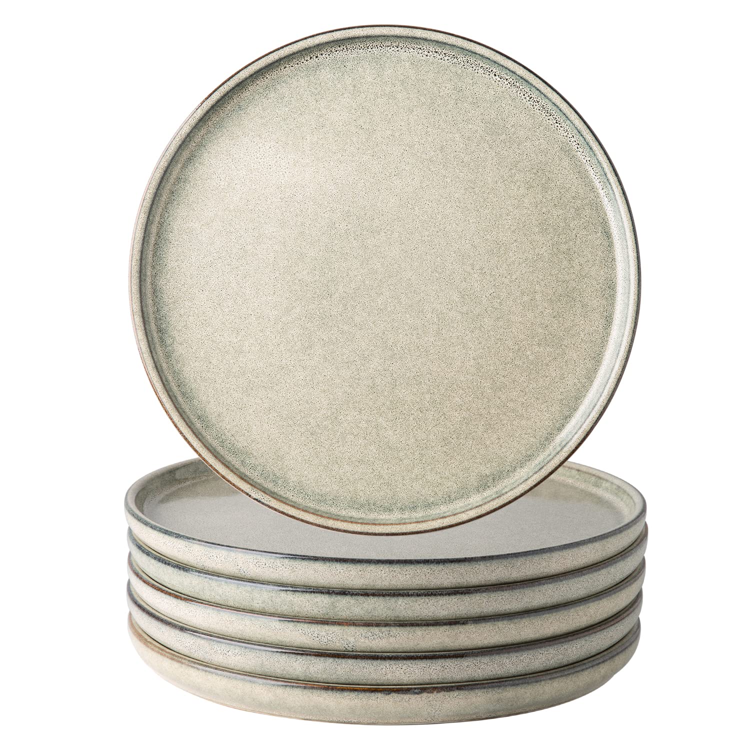 Aoibox  Ceramic Plates Set of 6 8 5 in Stoneware with Reactive Glaze Microwave and Dishwasher Safe Kitchen