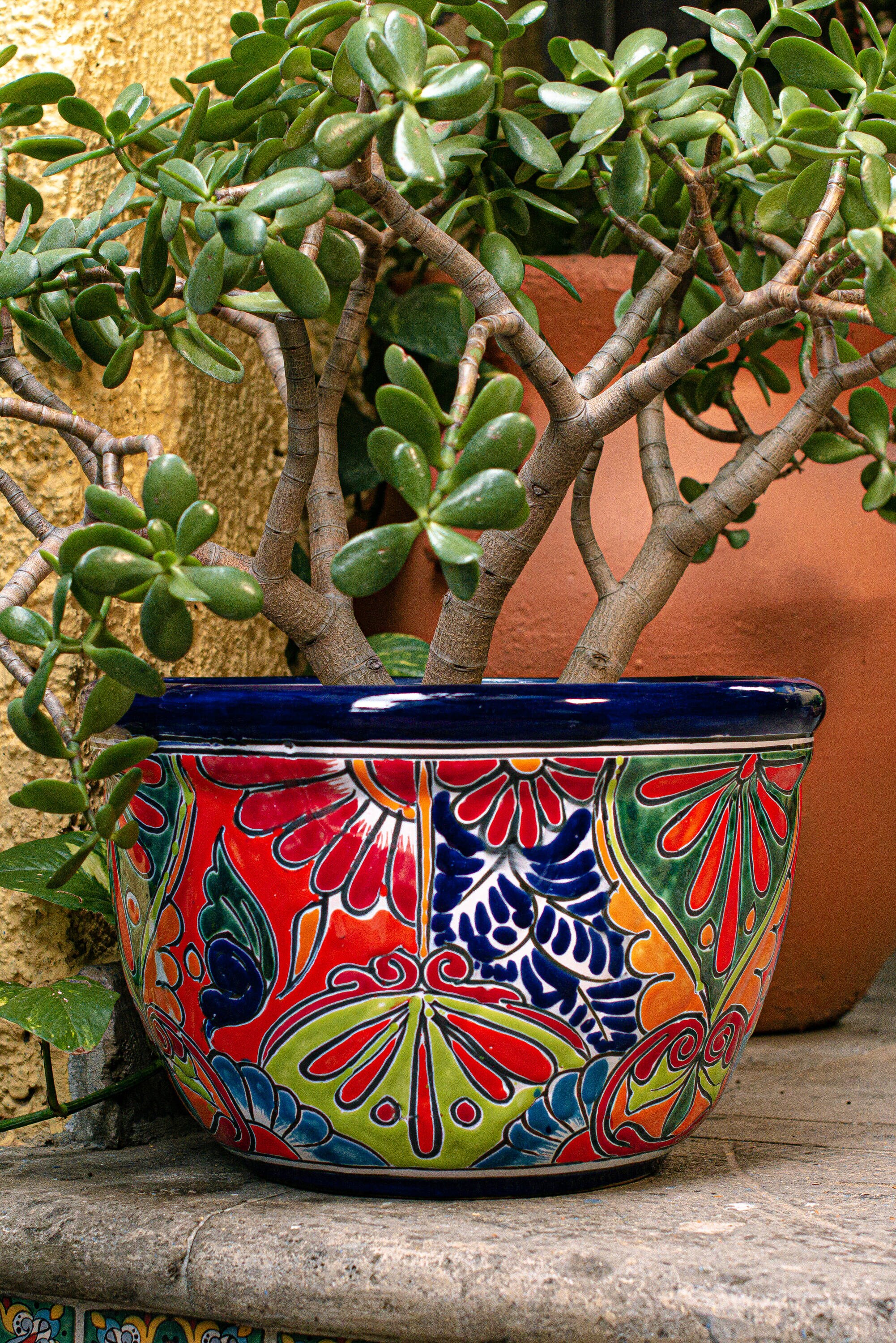 Evergreen 2CG836 Planter-Window-Box - View #3
