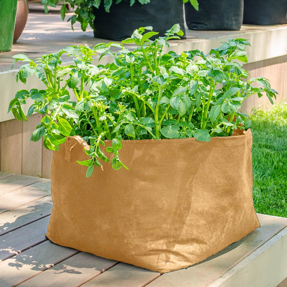 Gardens Alive! Seed Starting Heat Mat, Square Shape, Indoor Use, 10x20  Inches, Speeds Germination, Easy to Use