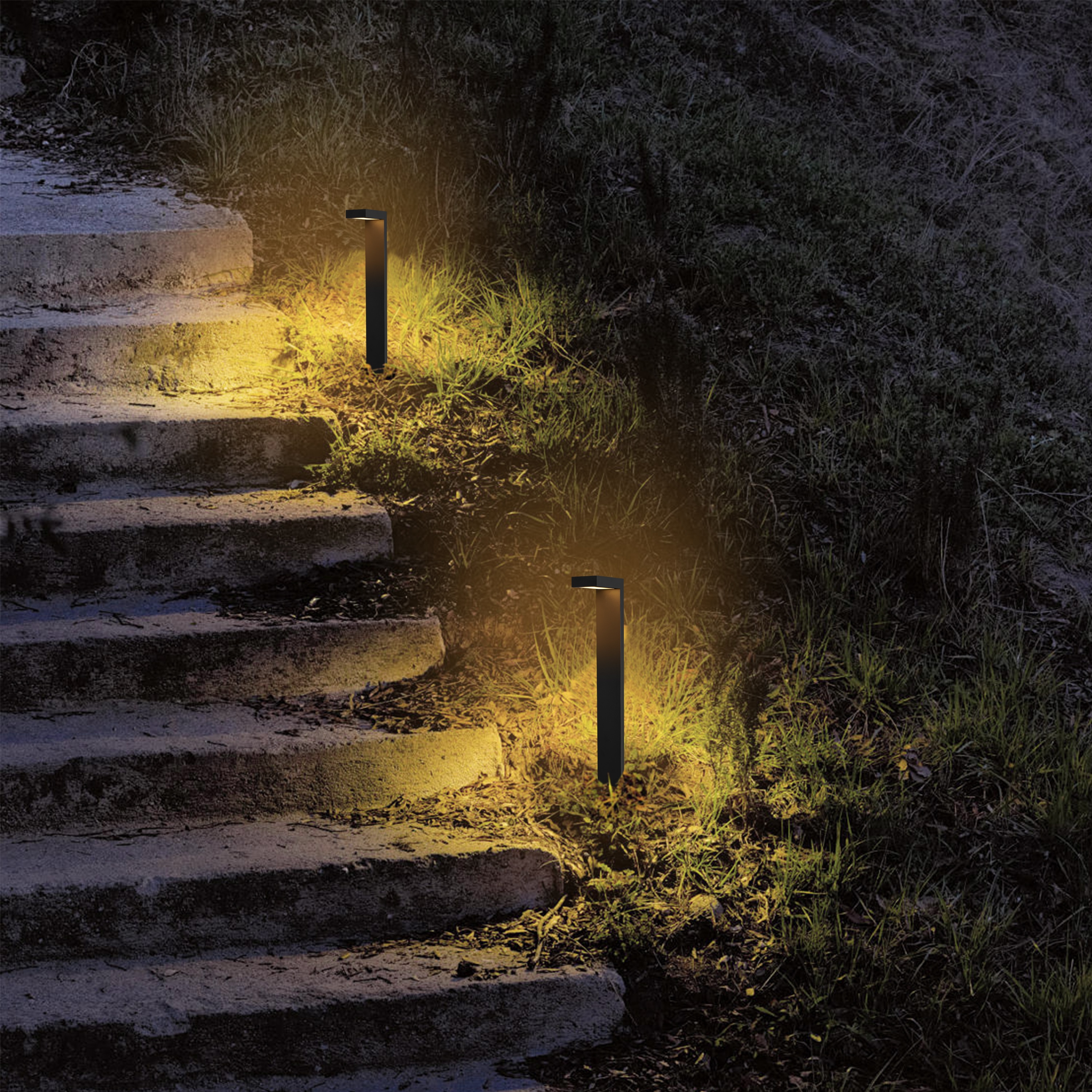 C Cattleya LLA2514-JES-2L Path-Lights - View #8