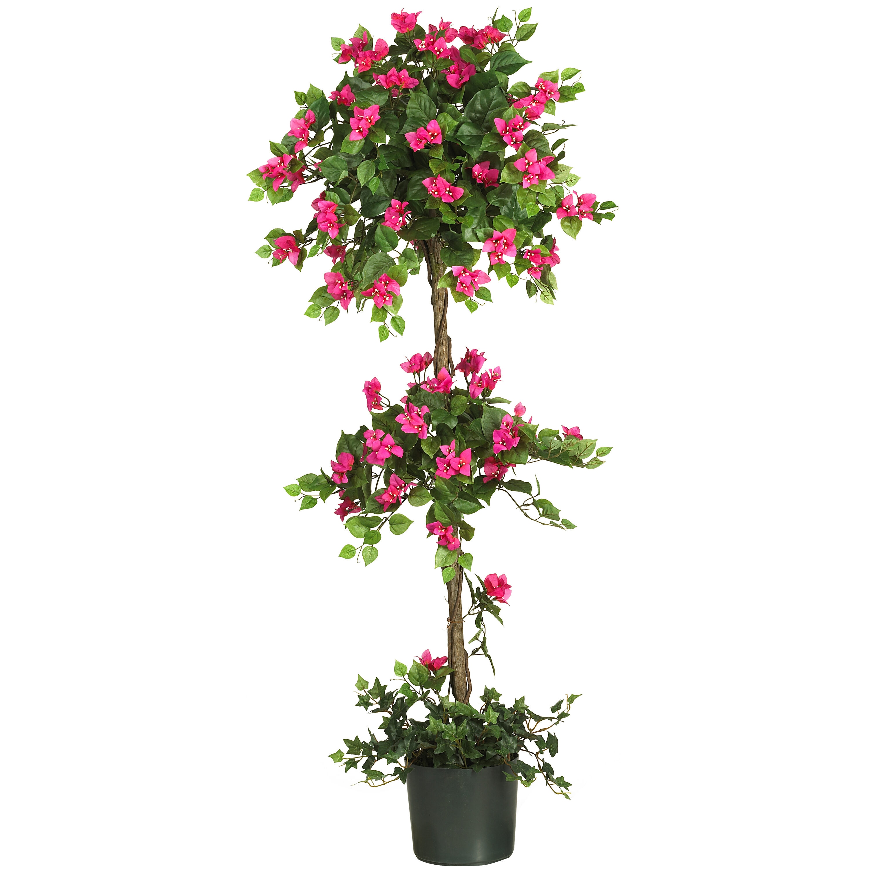  5-ft Mini Bougainvillea Topiary