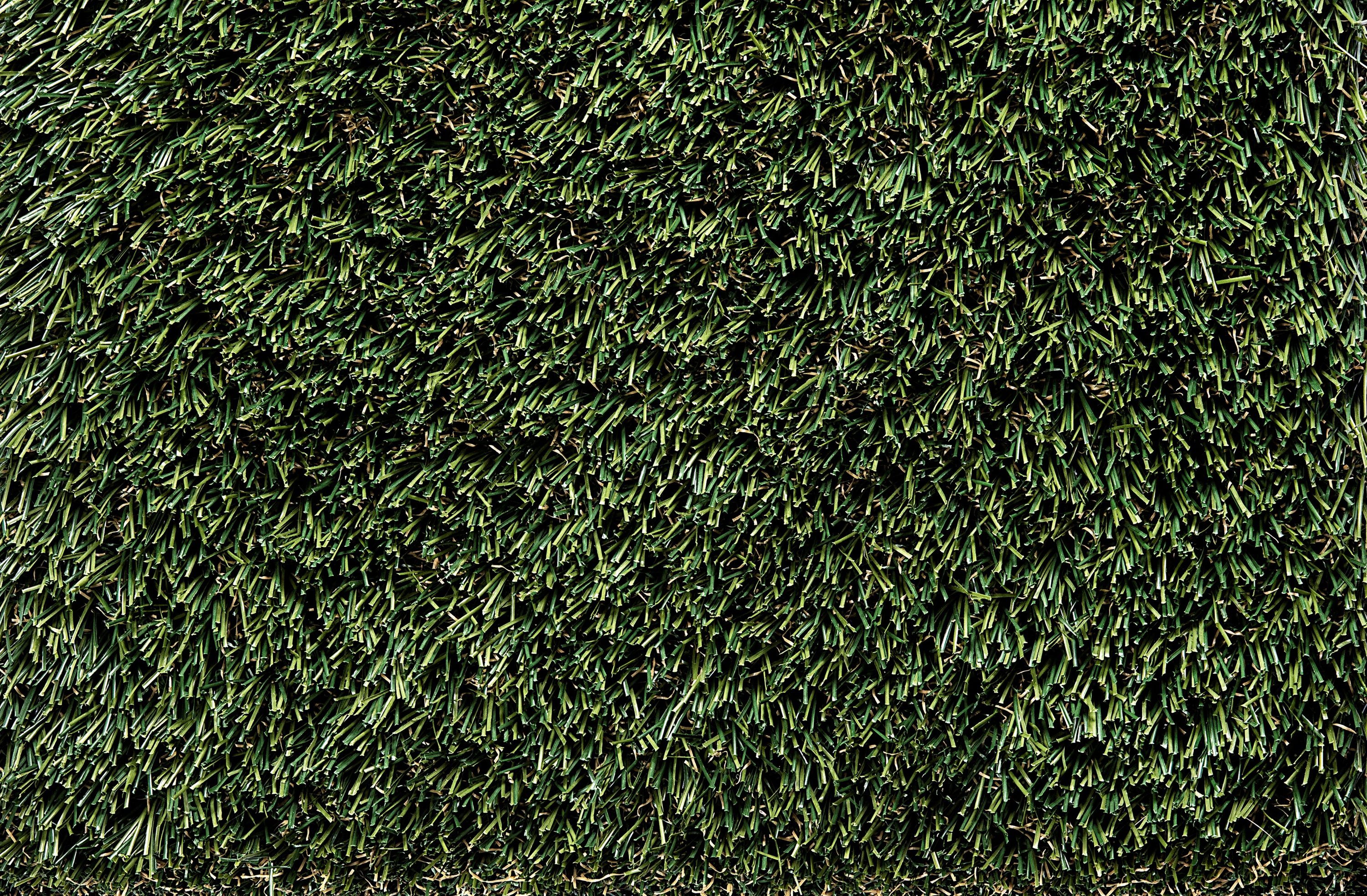 SYNLawn Fern 15-ft Cut To Length Artificial Grass