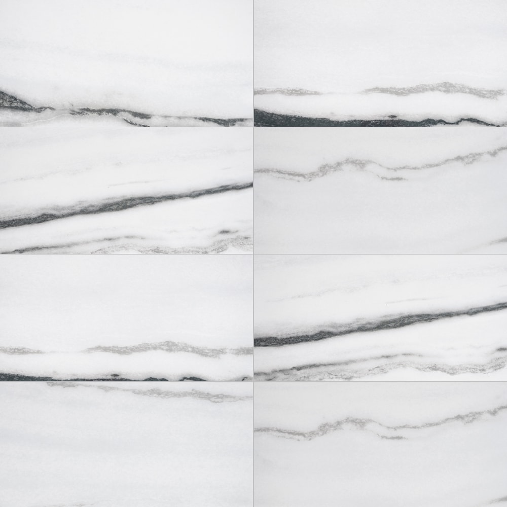 The Tile Life TPREX1224GW Pent House White Fantasy 12-in x 24-in Polished Porcelain Marble Look Floor and Wall Tile (11.62-sq. ft/ Carton)