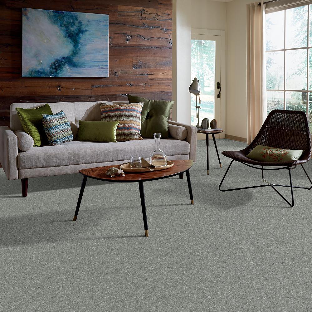 STAINMASTER 7L52600110 Carpet-Panel - View #5