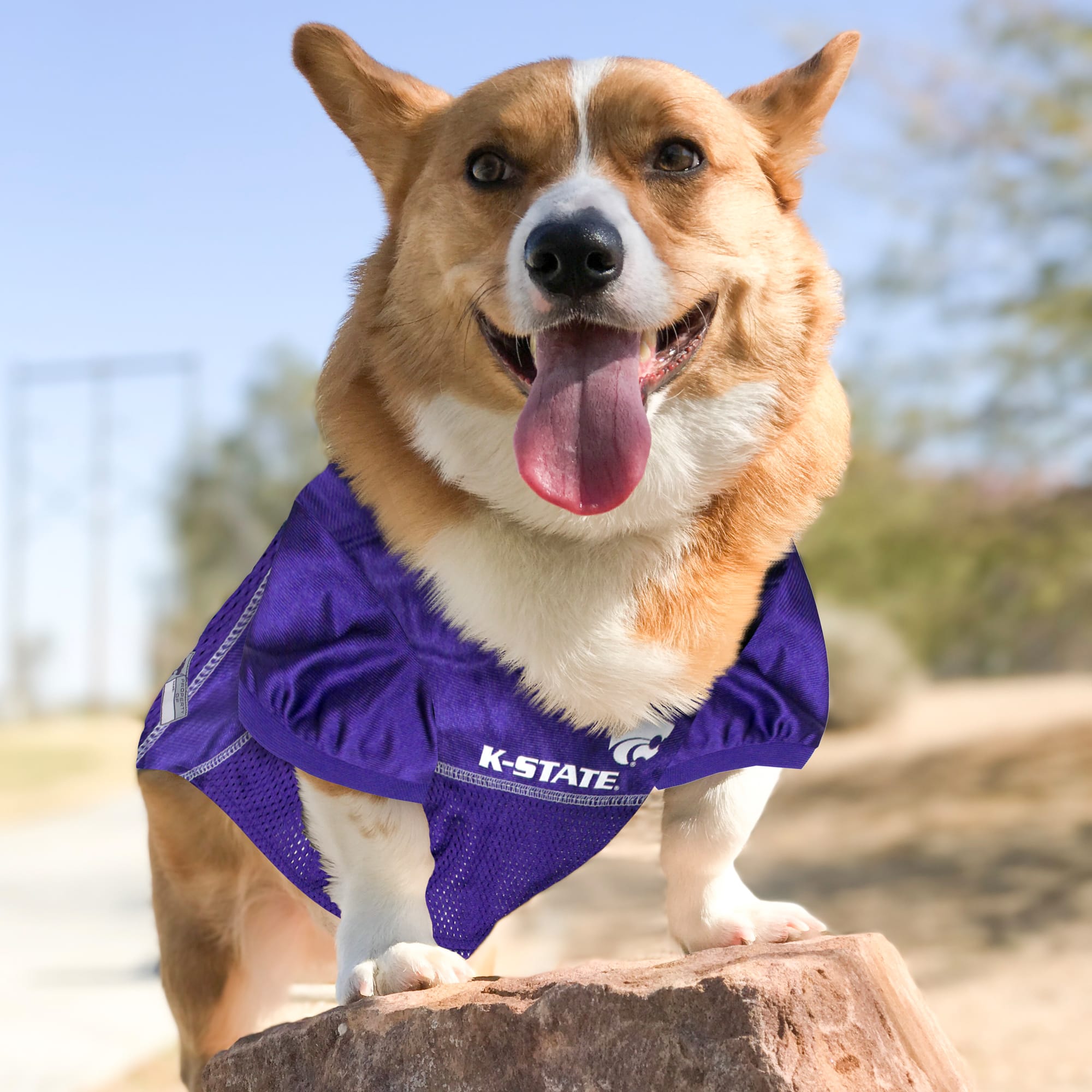 Pets First KS-4006-LG Dog-Clothing-Acc - View #3