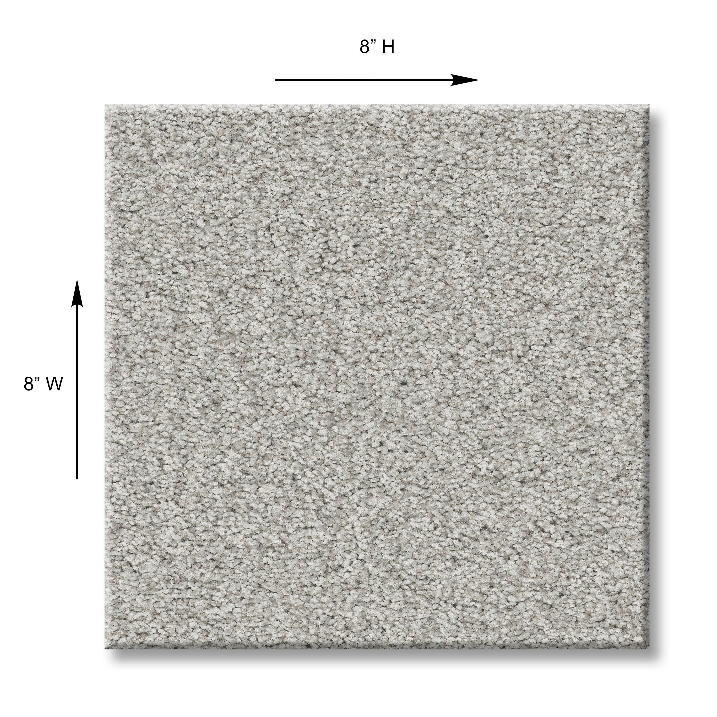 STAINMASTER 7L879 - 534 - SAMP Carpet-Samples - View #5