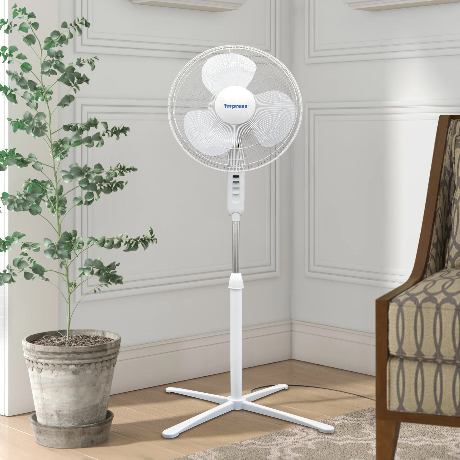 Siavonce XHHAYGSP m090300 - View #4