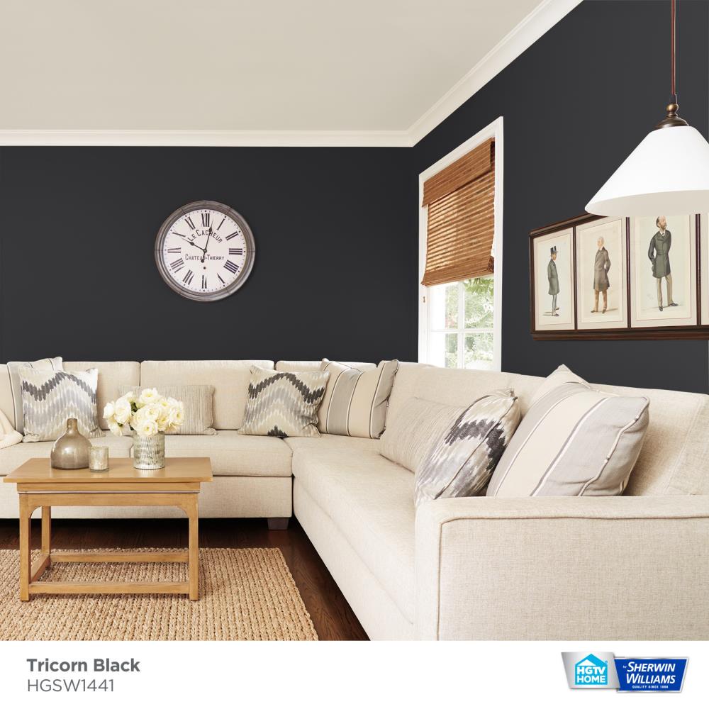 Tricorn Black SW 6258 - Sherwin-Williams  Black painted furniture,  Williams furniture, Sherwin williams paint colors