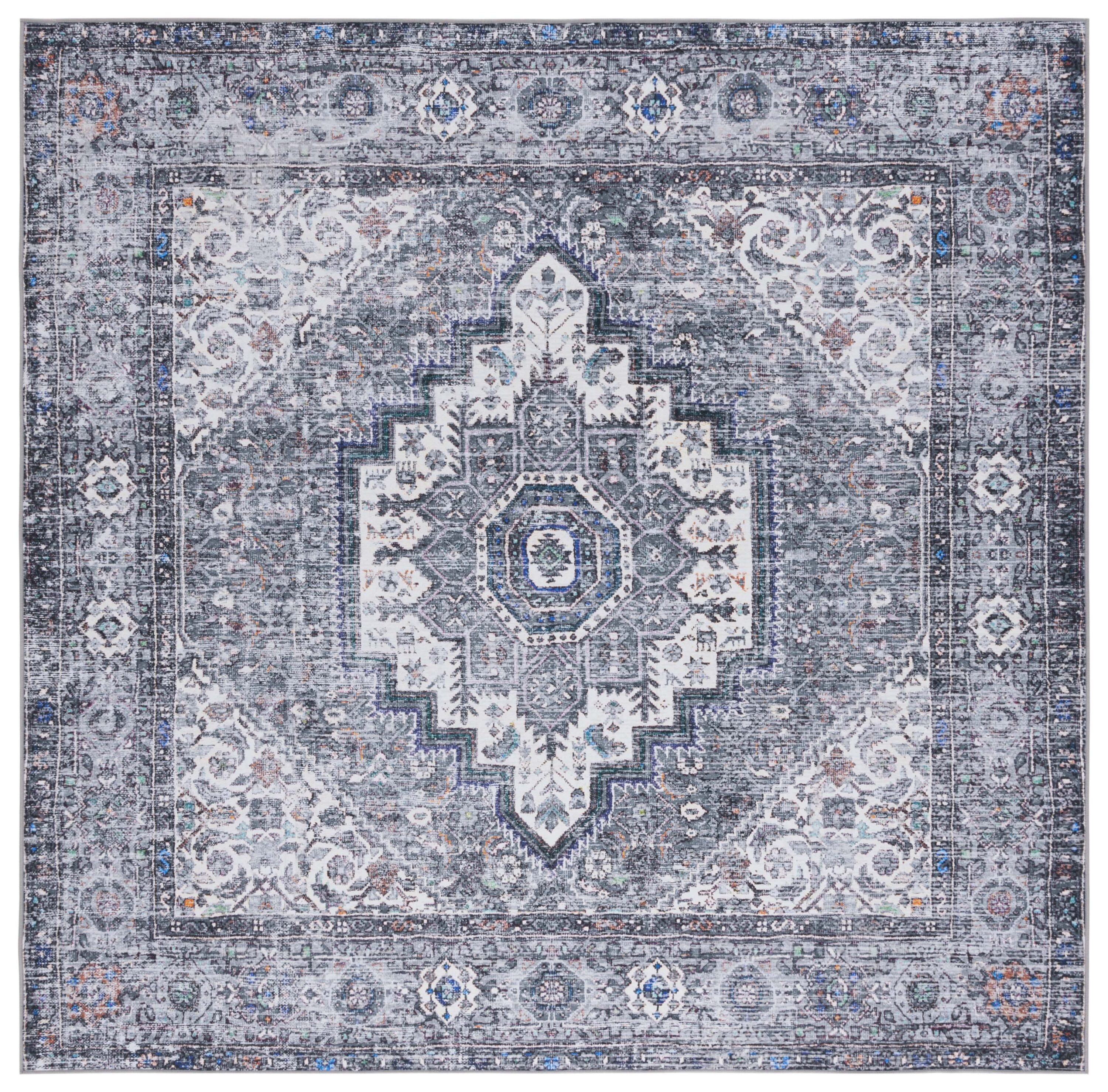 Safavieh TSN198B-6SQ rugs - View #2