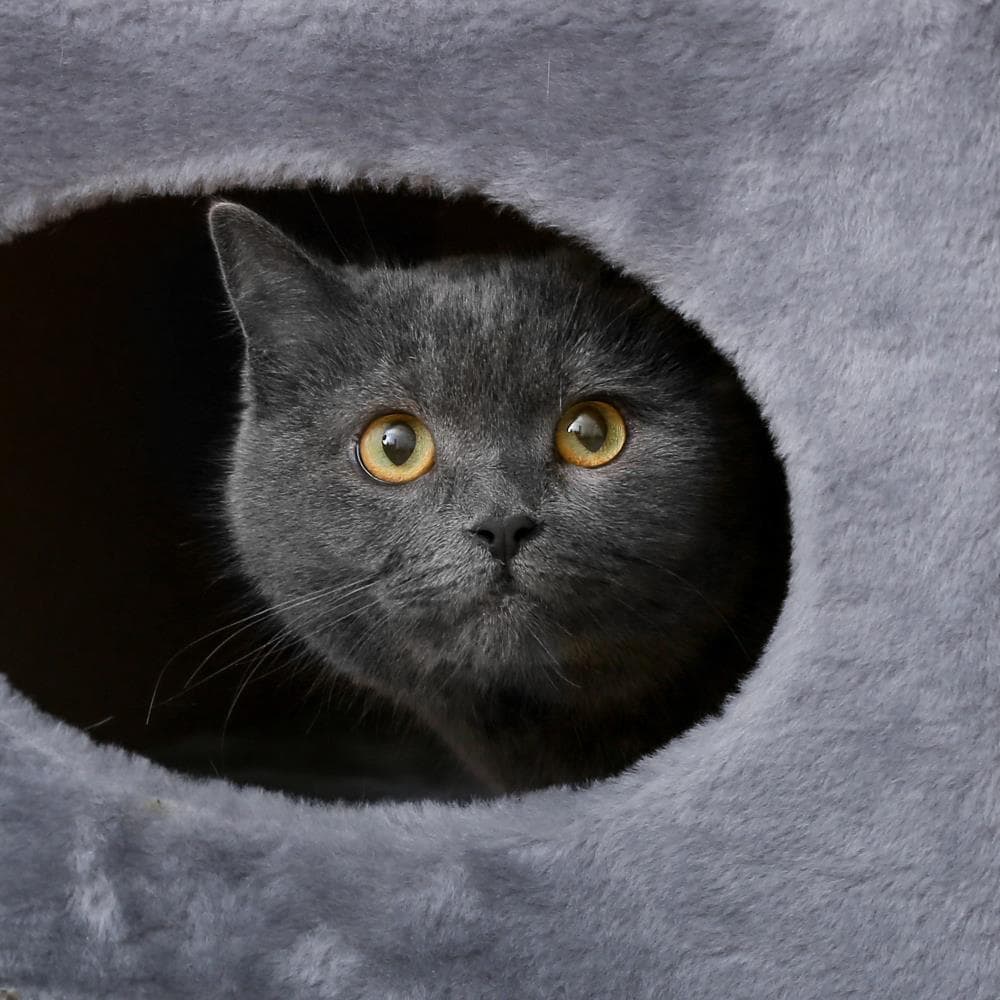 PETMAKER 129409XSV Cat-Trees - View #5