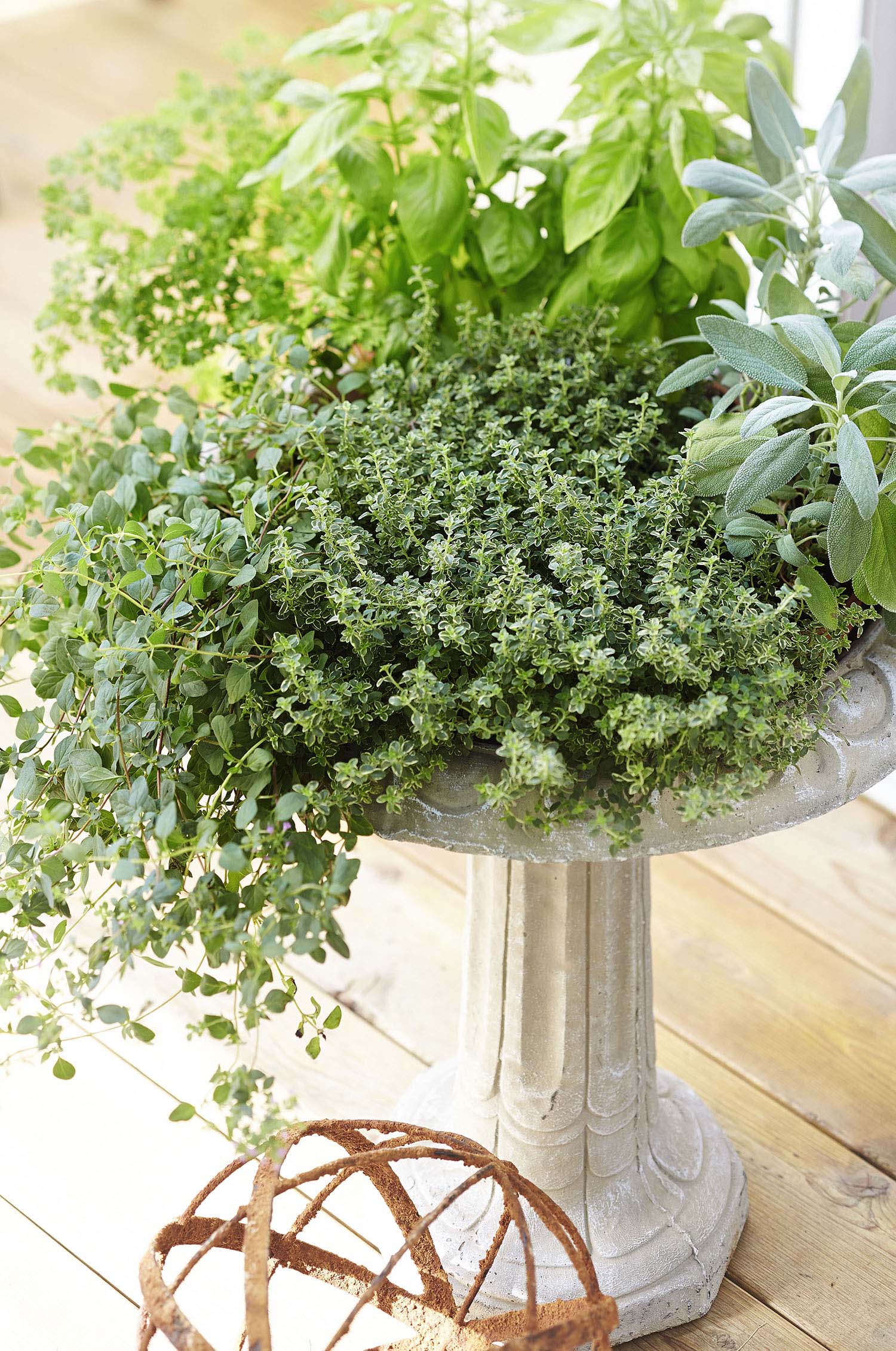  01552-7 birdbaths - View #4