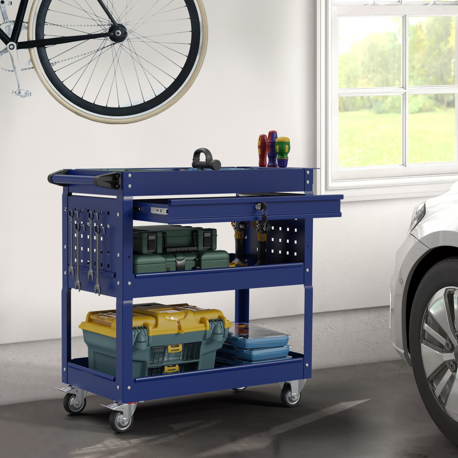 RaDEWAY TH111203-01-BU Utility-Carts - View #10